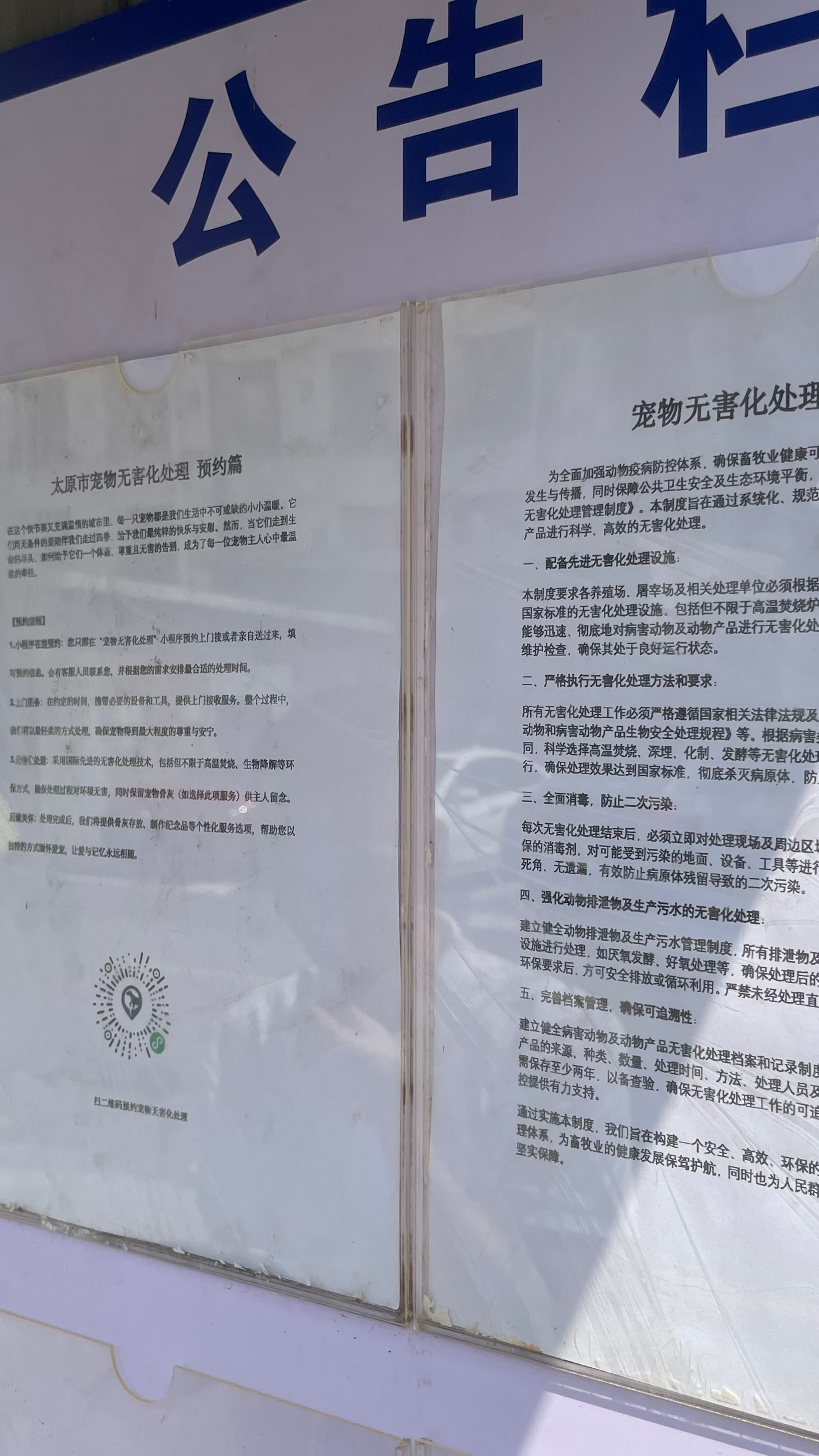 娄底宠物无害化处理