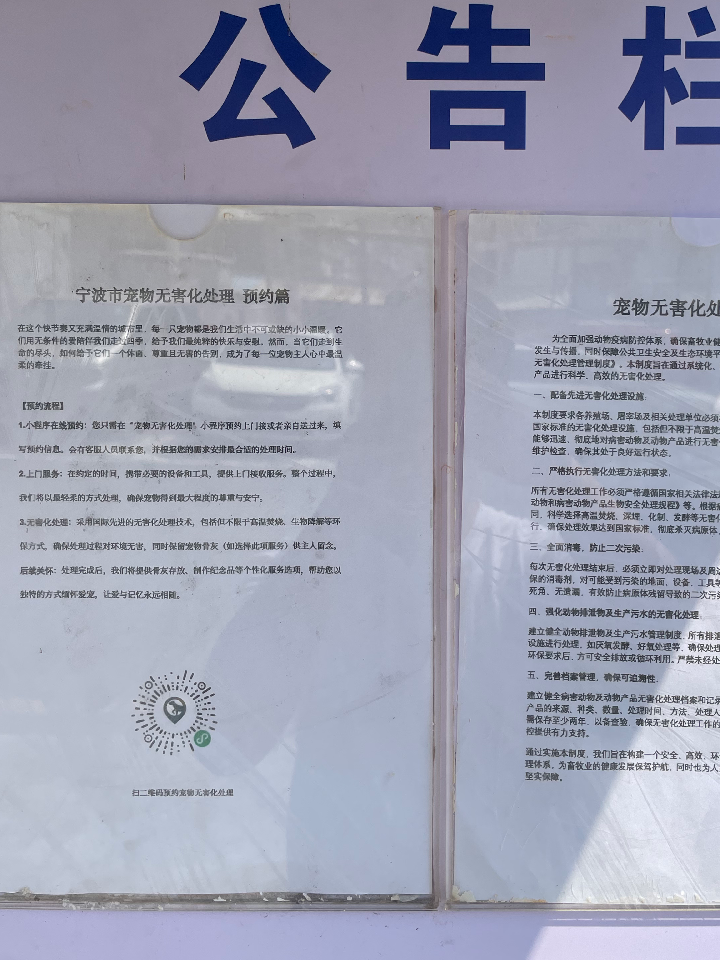 拉萨宠物遗体规范处理