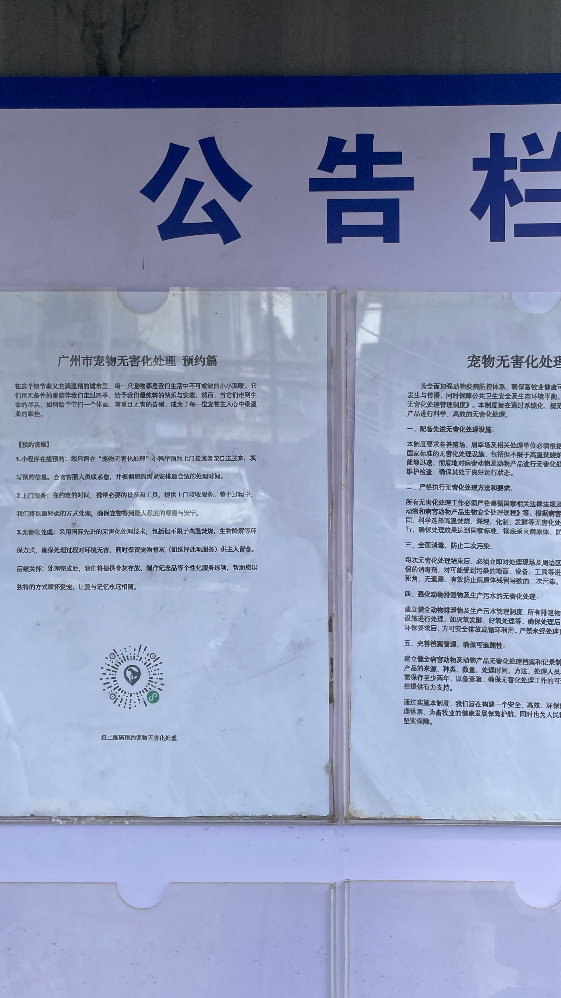 榕城宠物无害化