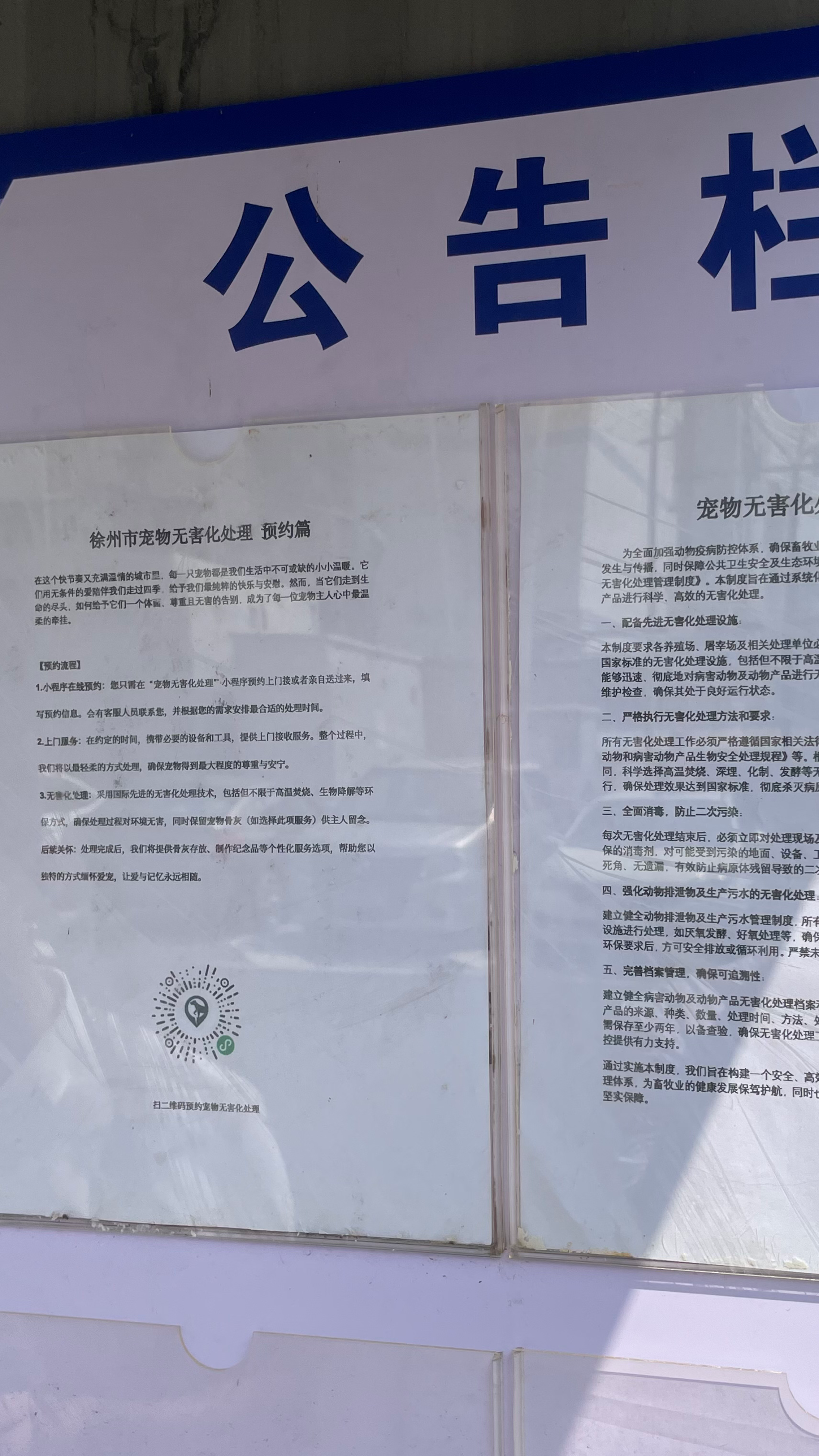 石家庄宠物无害化处理