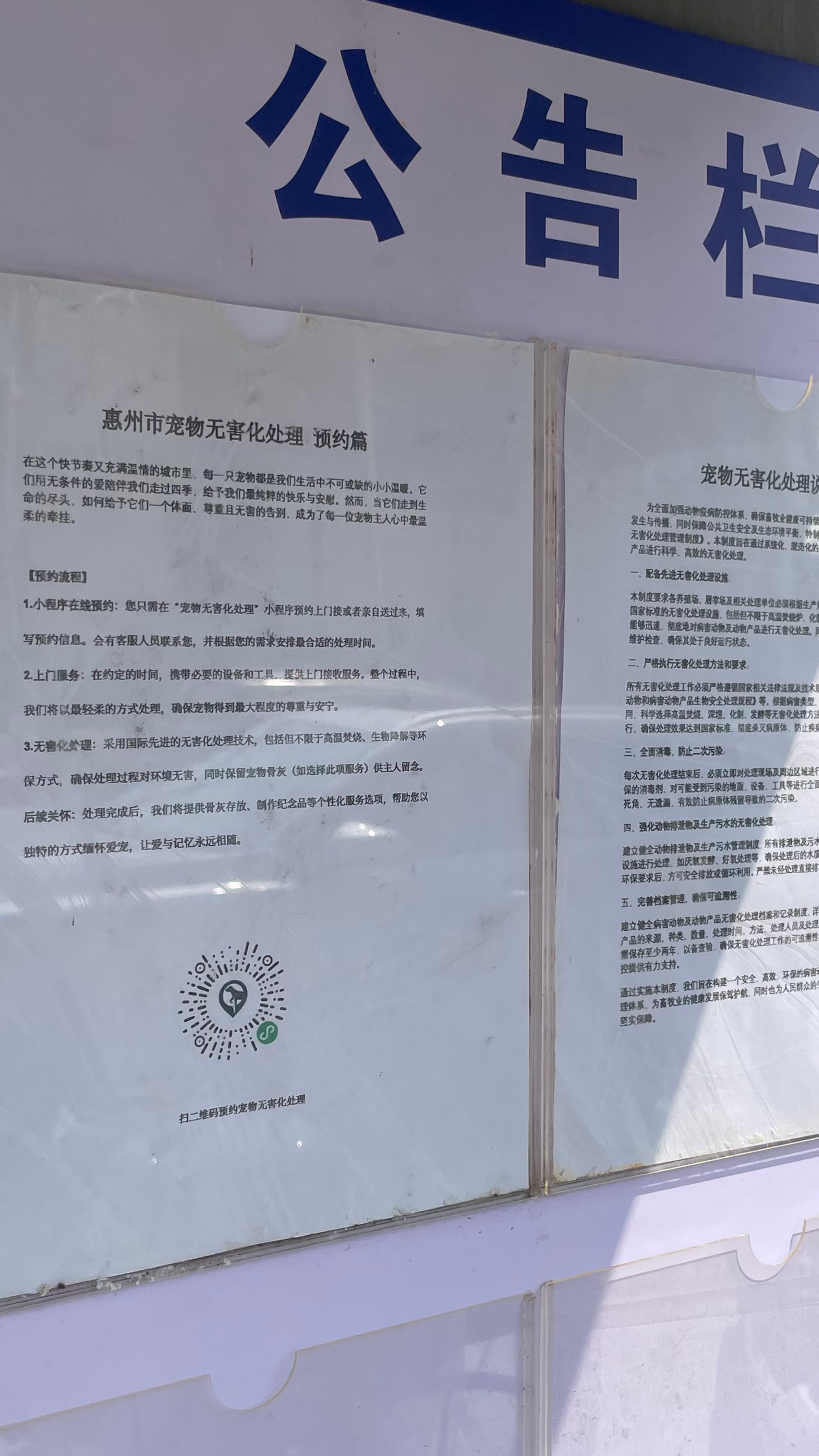 昆明宠物无害化处理