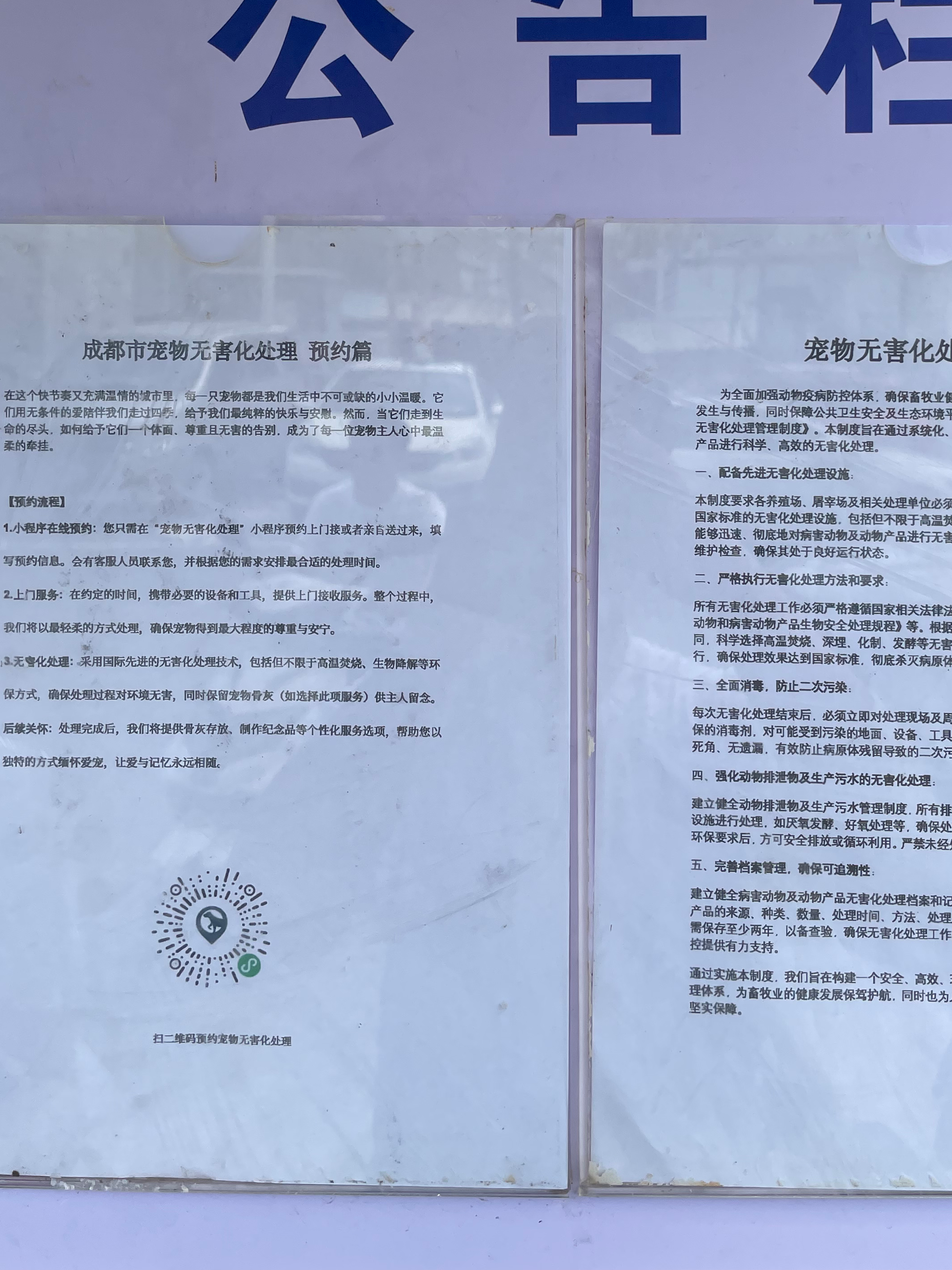 榕城宠物无害化处理流程