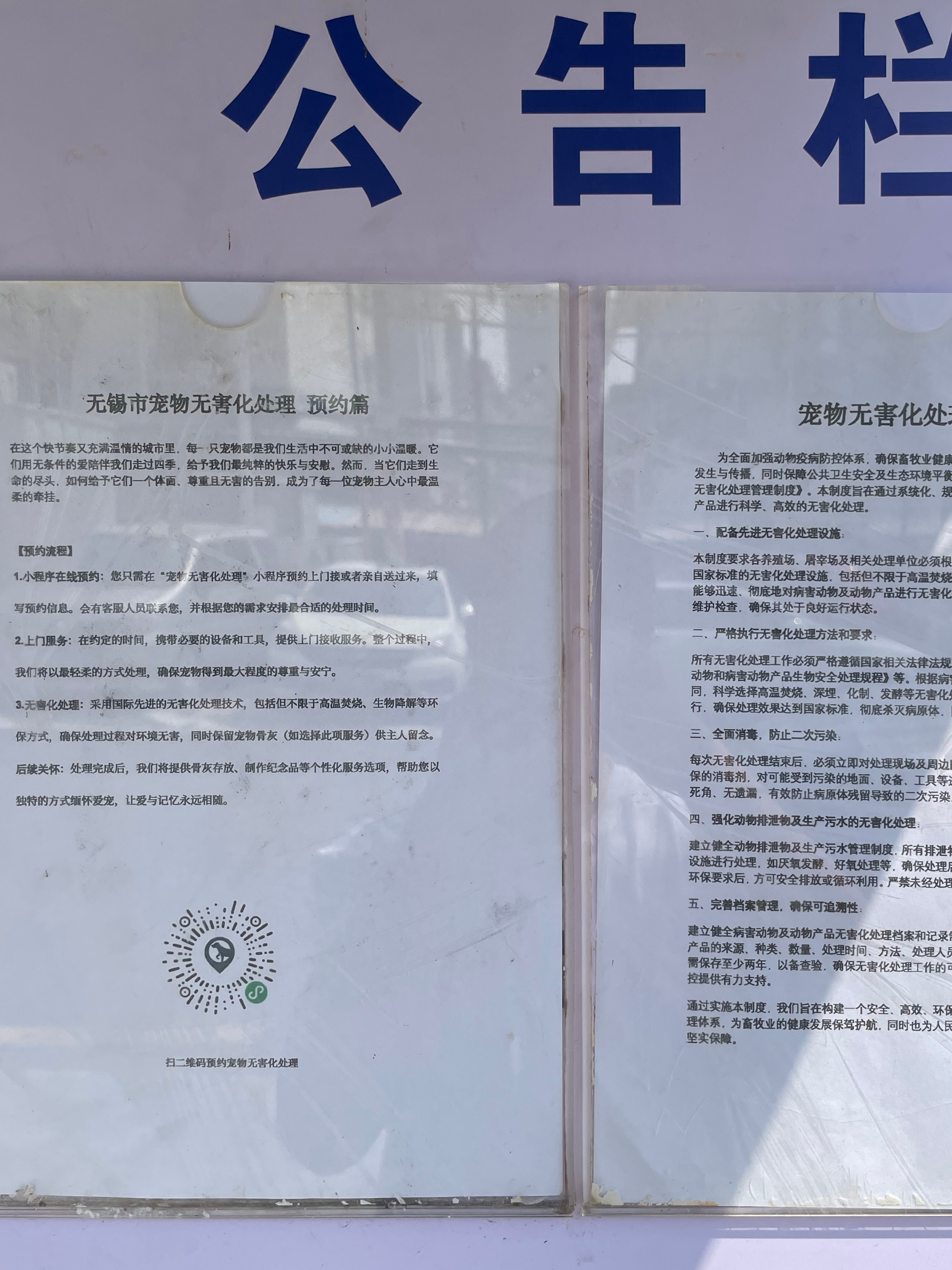 榕城宠物接运服务