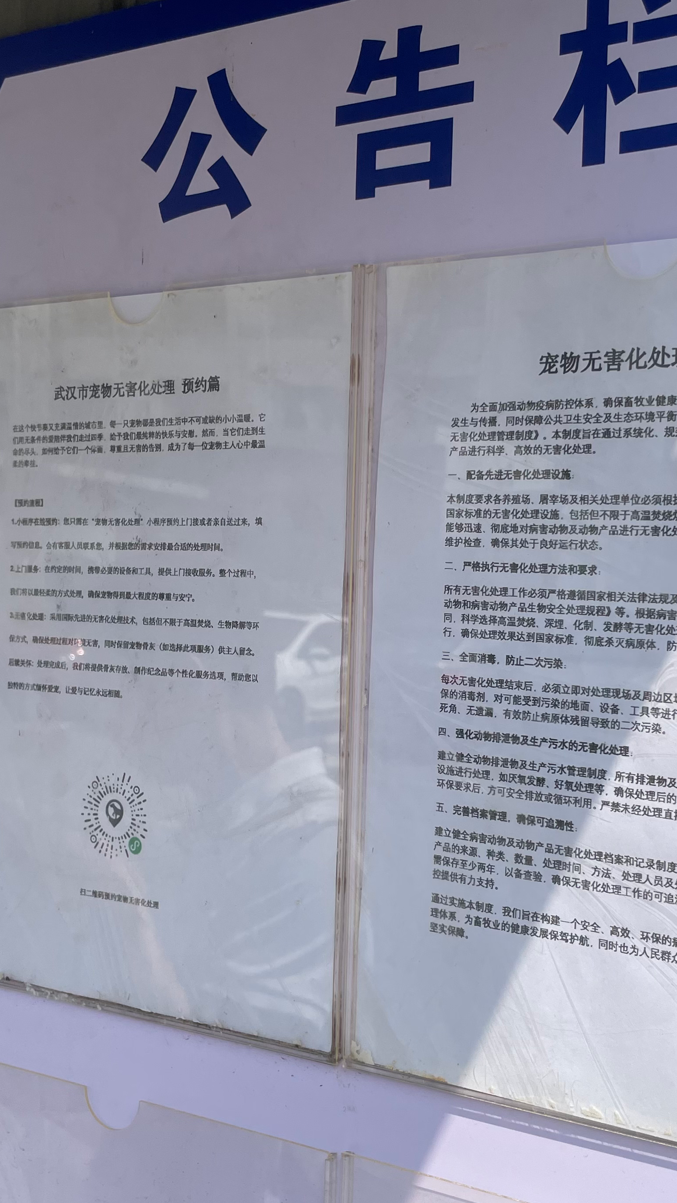 丽水宠物无害化处理