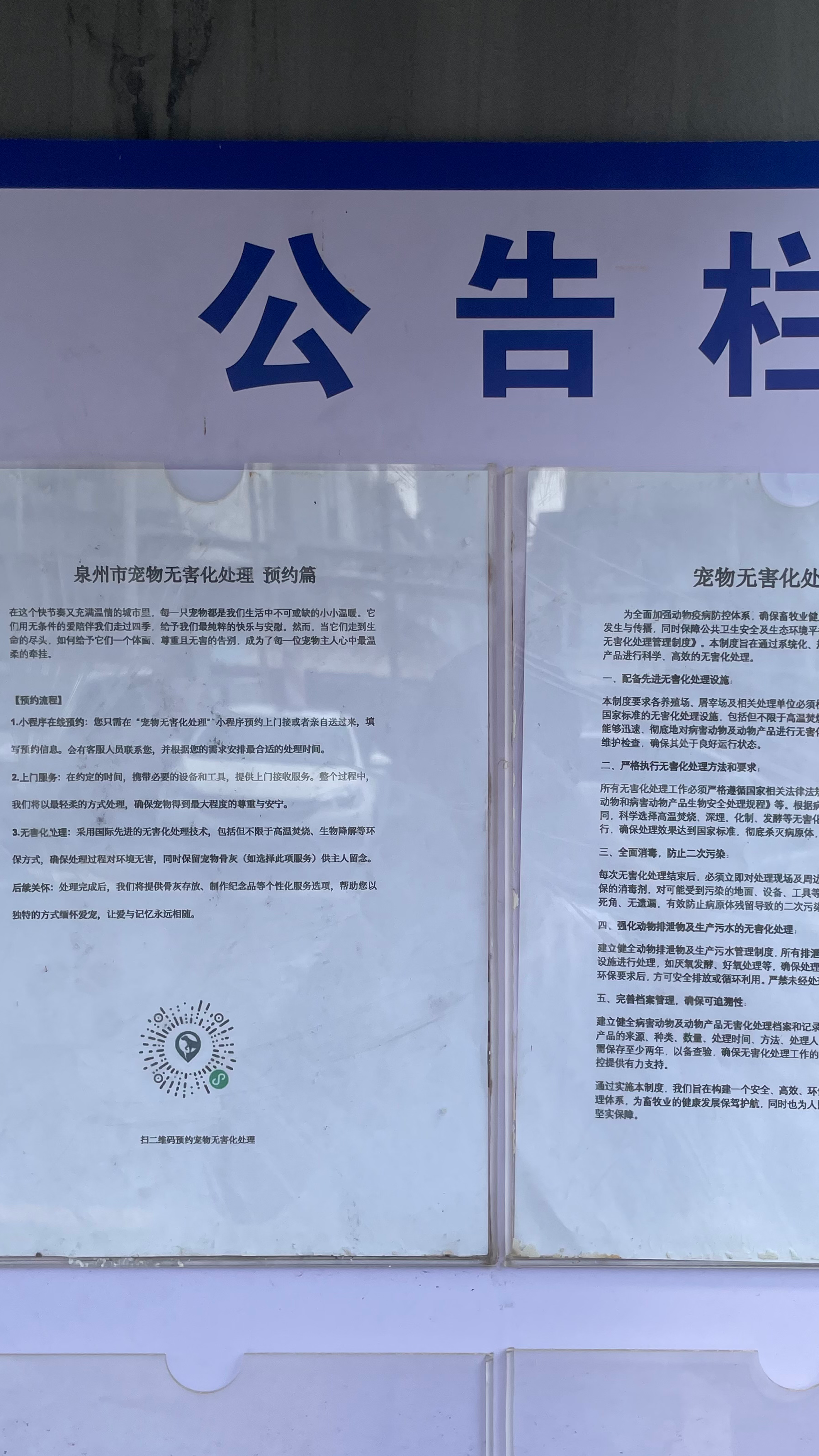 揭东宠摆渡服务