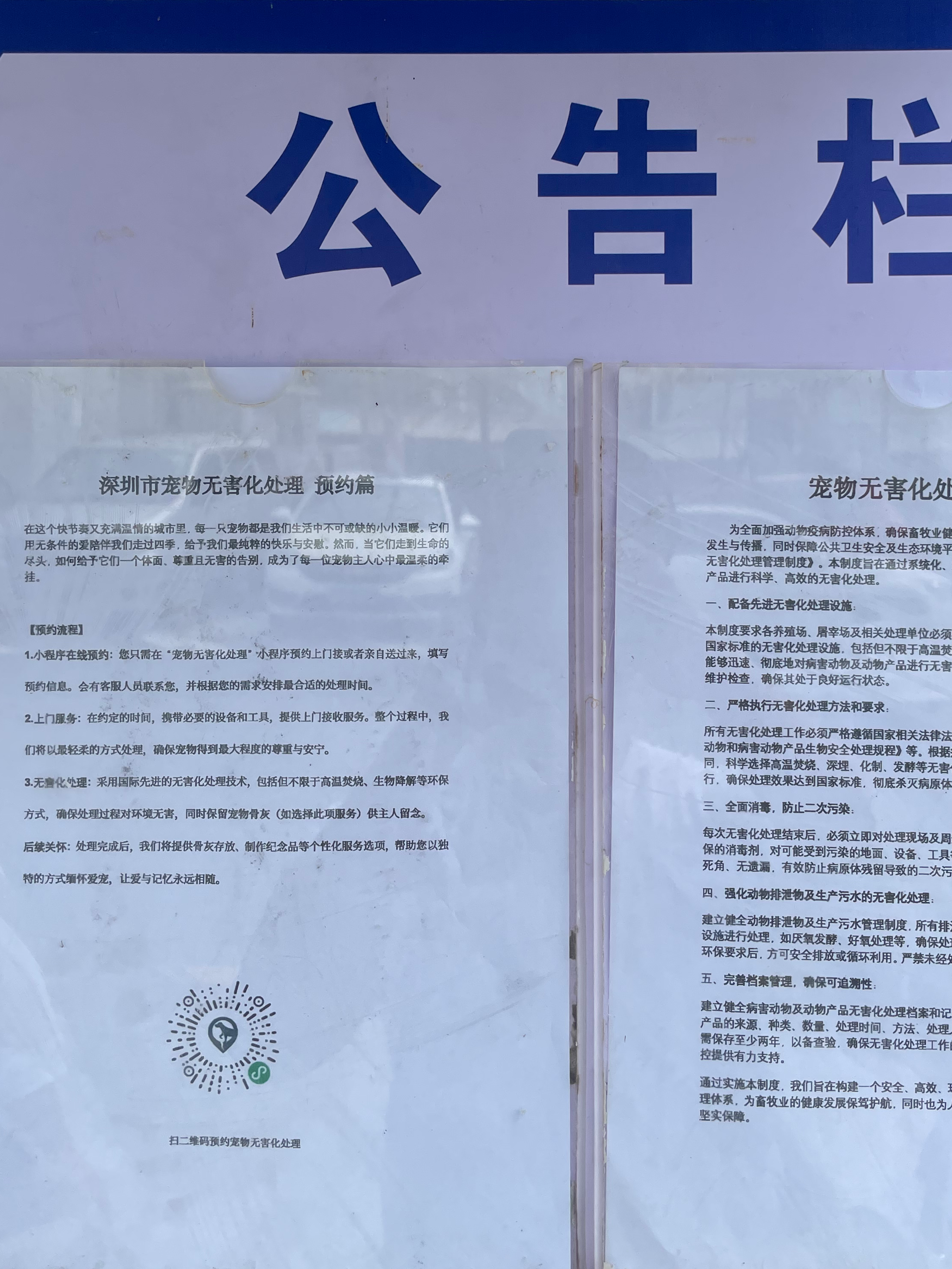 郴州宠物无害化处理