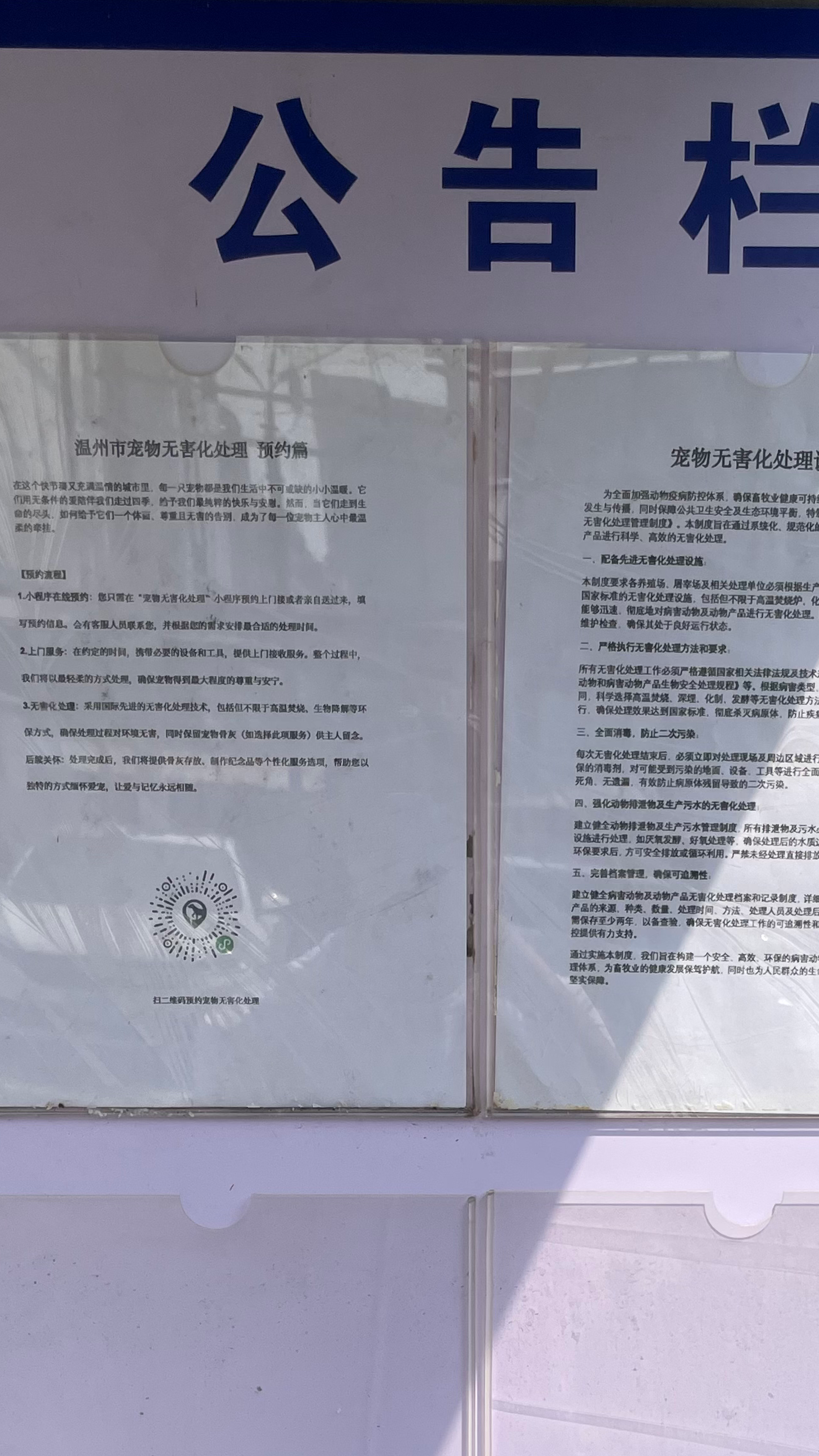 揭东宠物接运服务