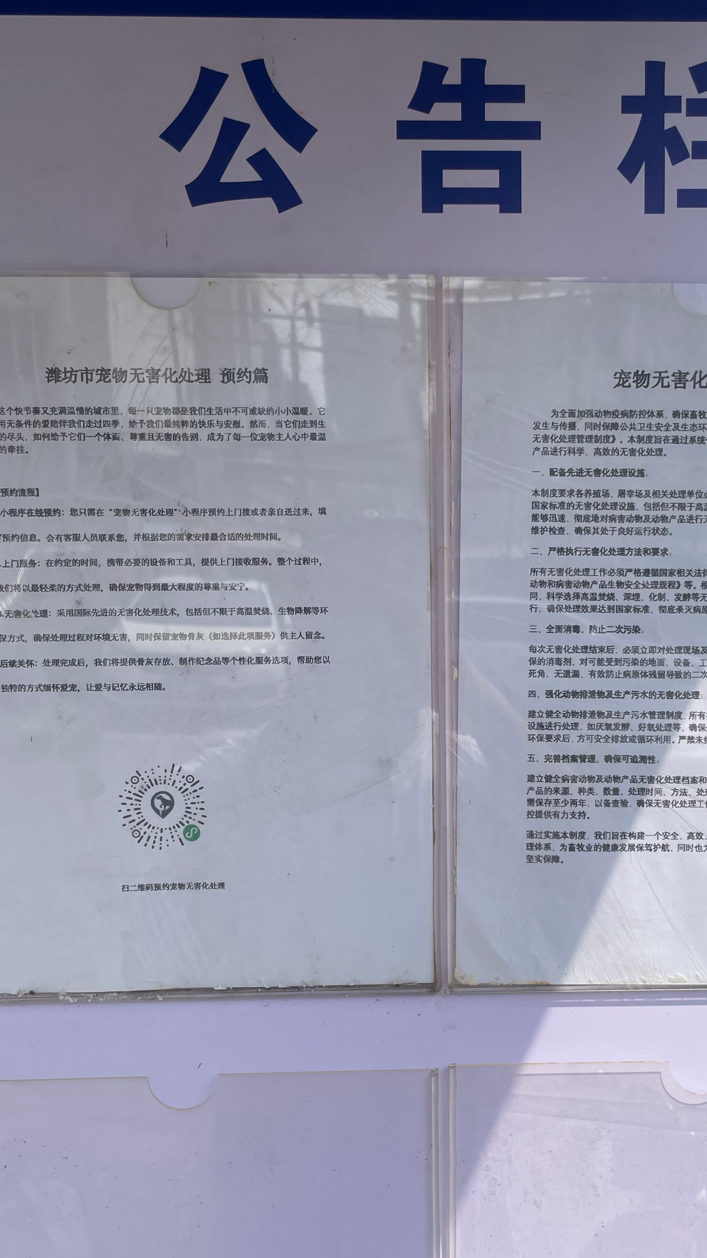 揭东宠物告别厅