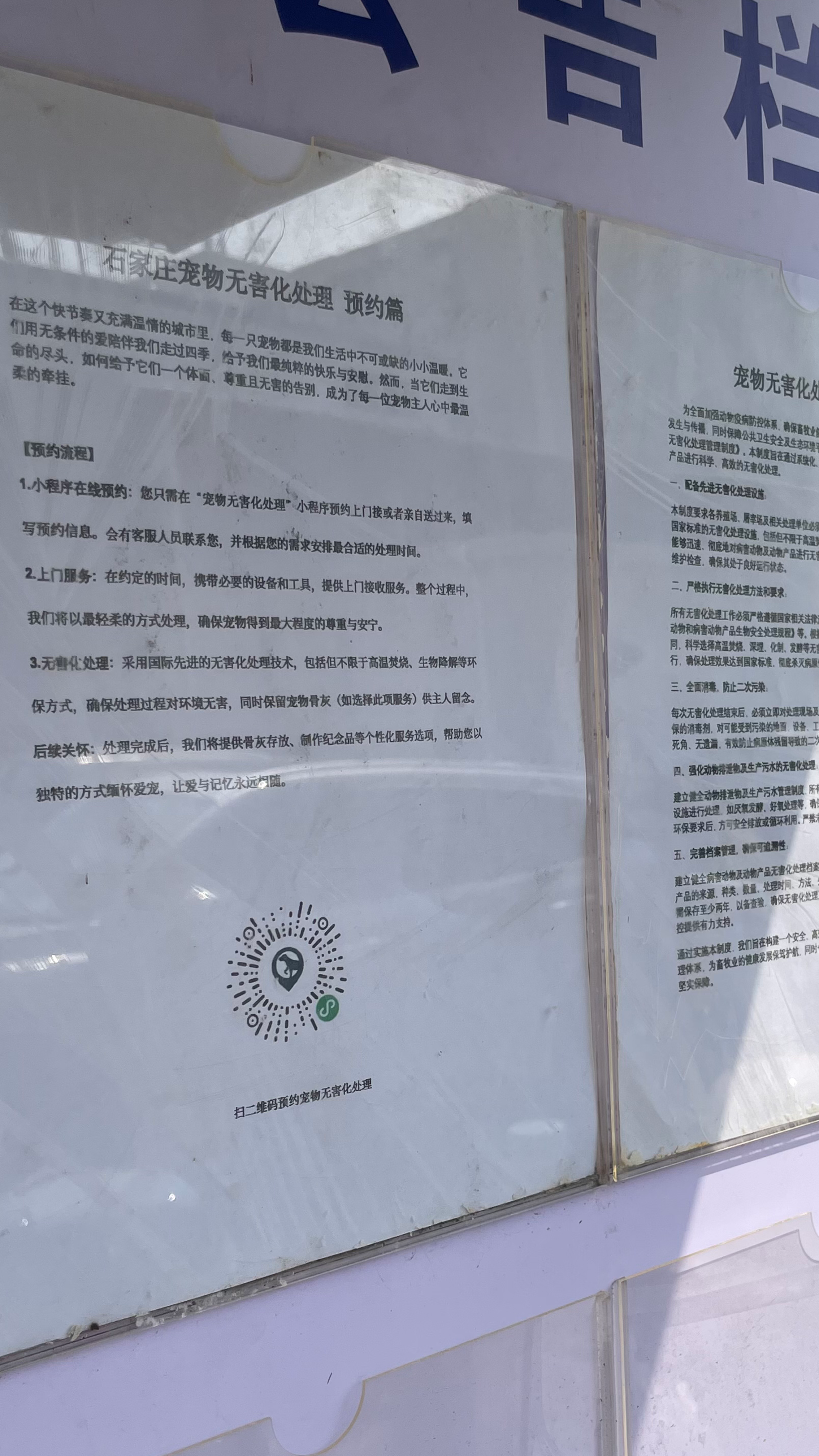 揭西宠物无害化