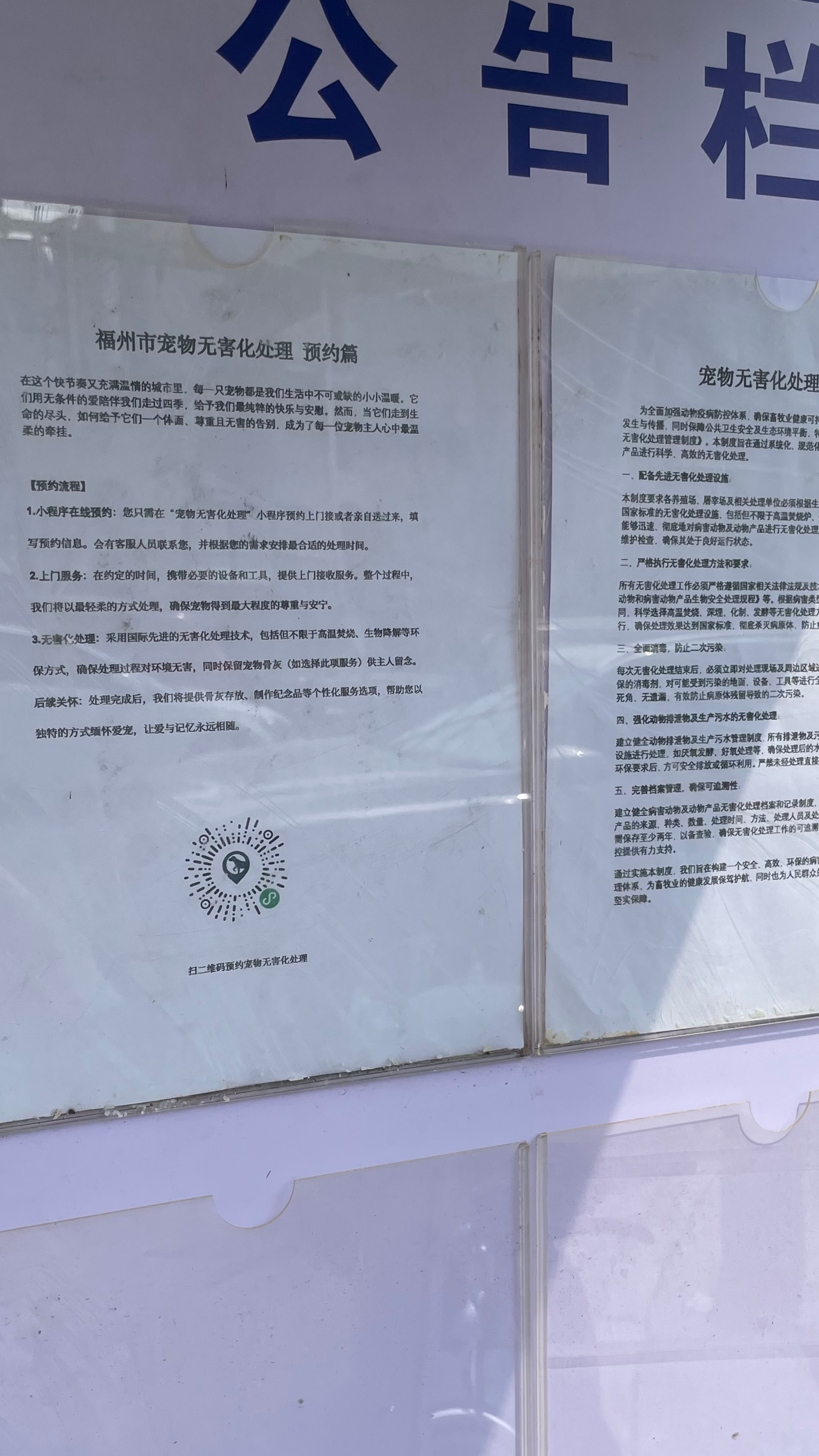 揭西宠摆渡服务