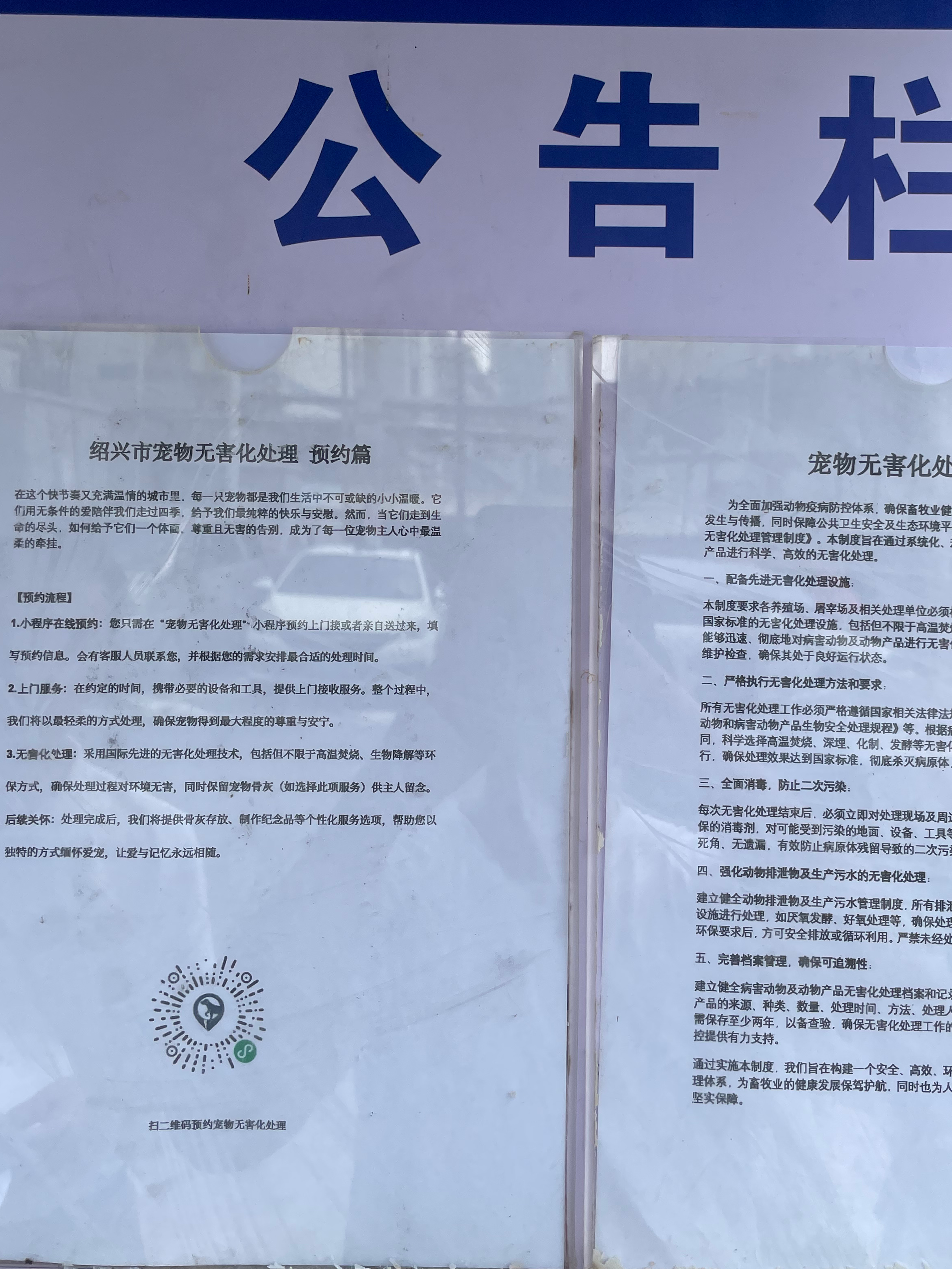 青岛宠物无害化处理