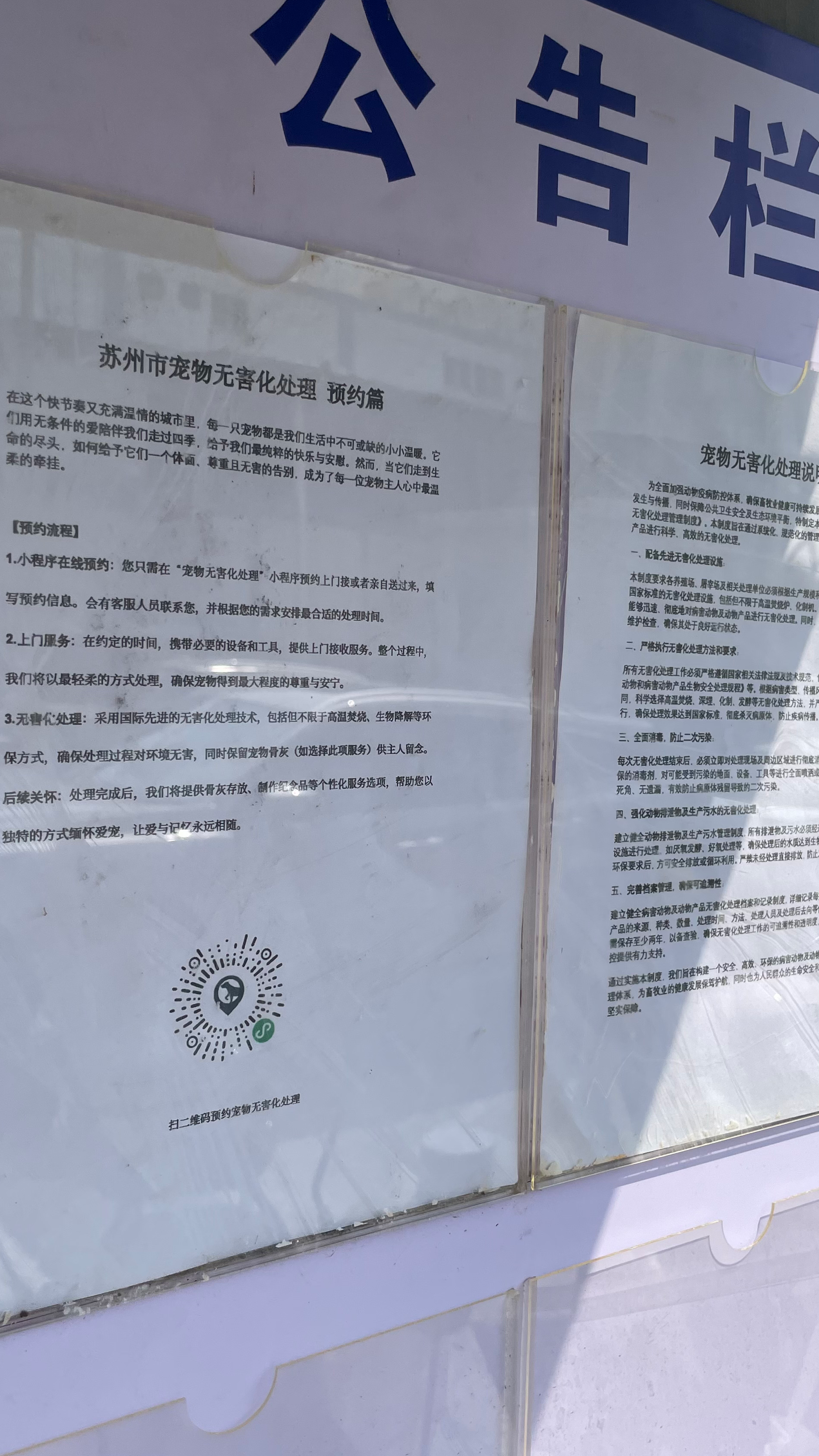 揭西宠物无害化处理流程