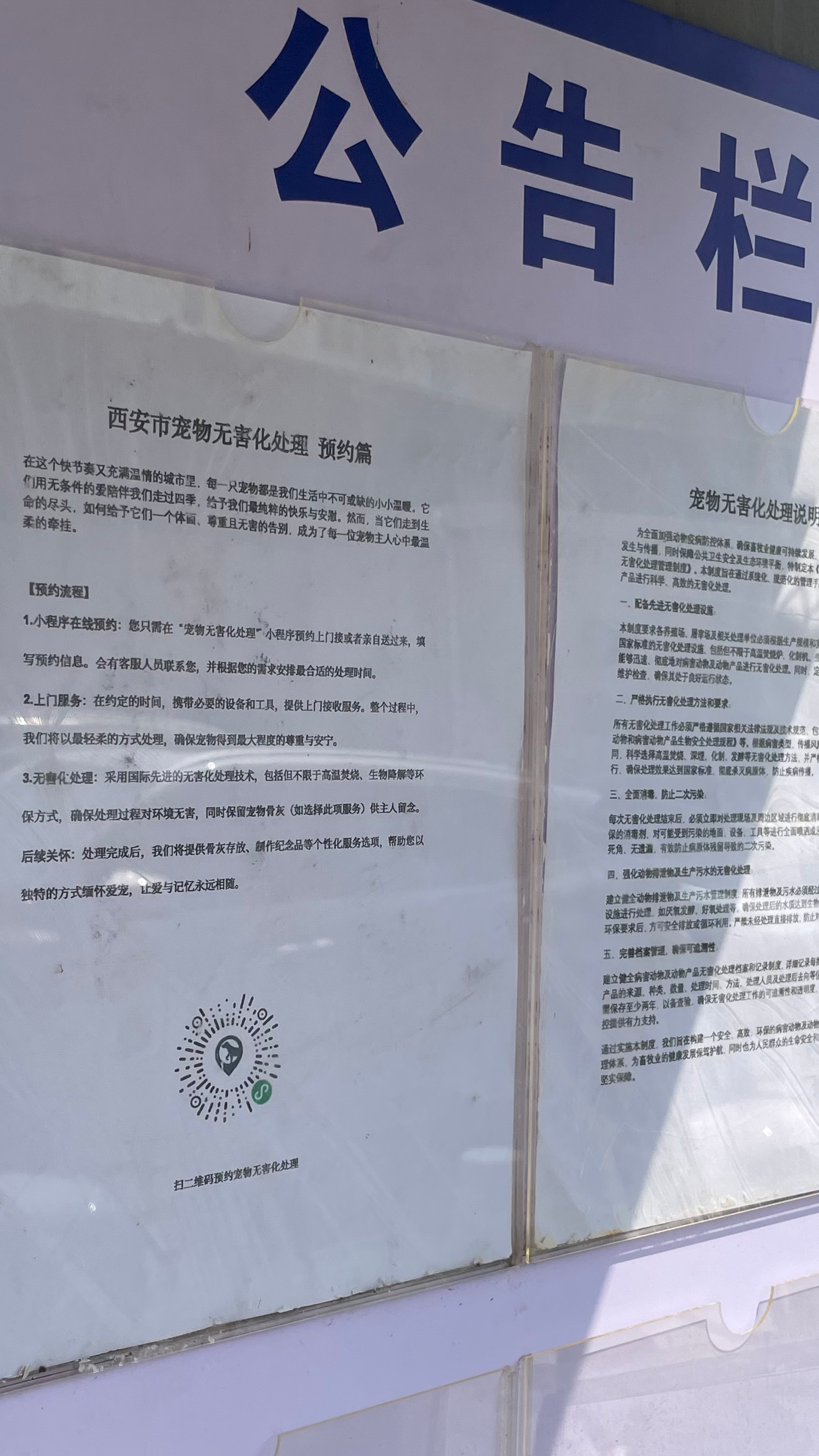 揭西宠物接运服务