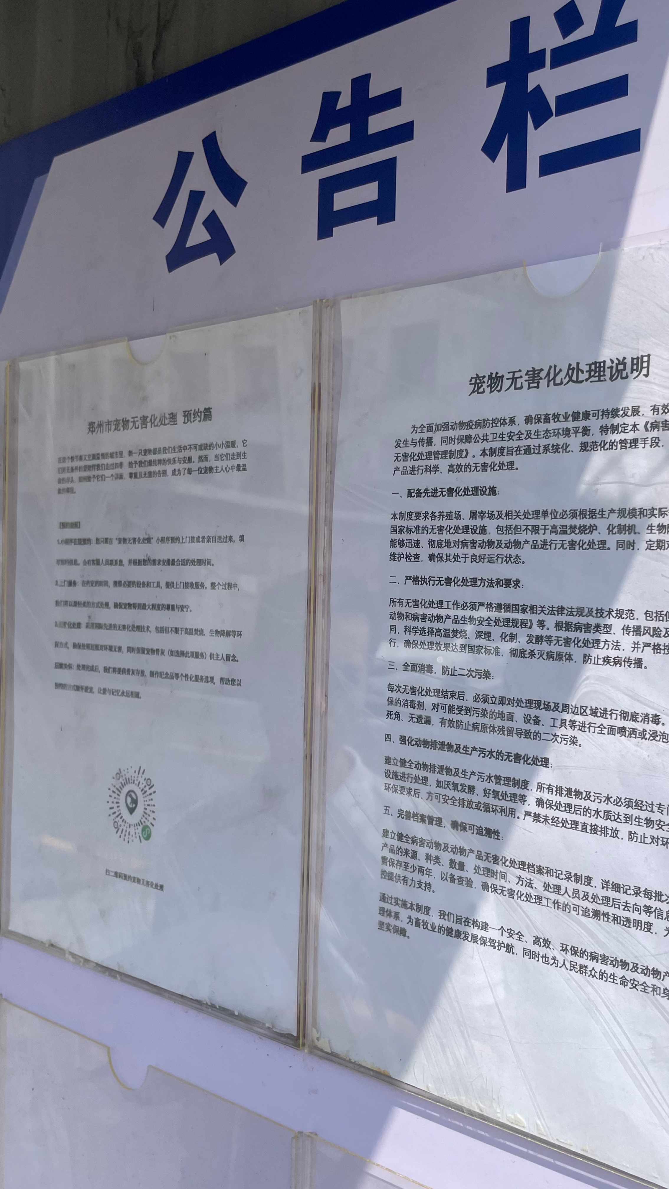 顺德宠物无害化处理