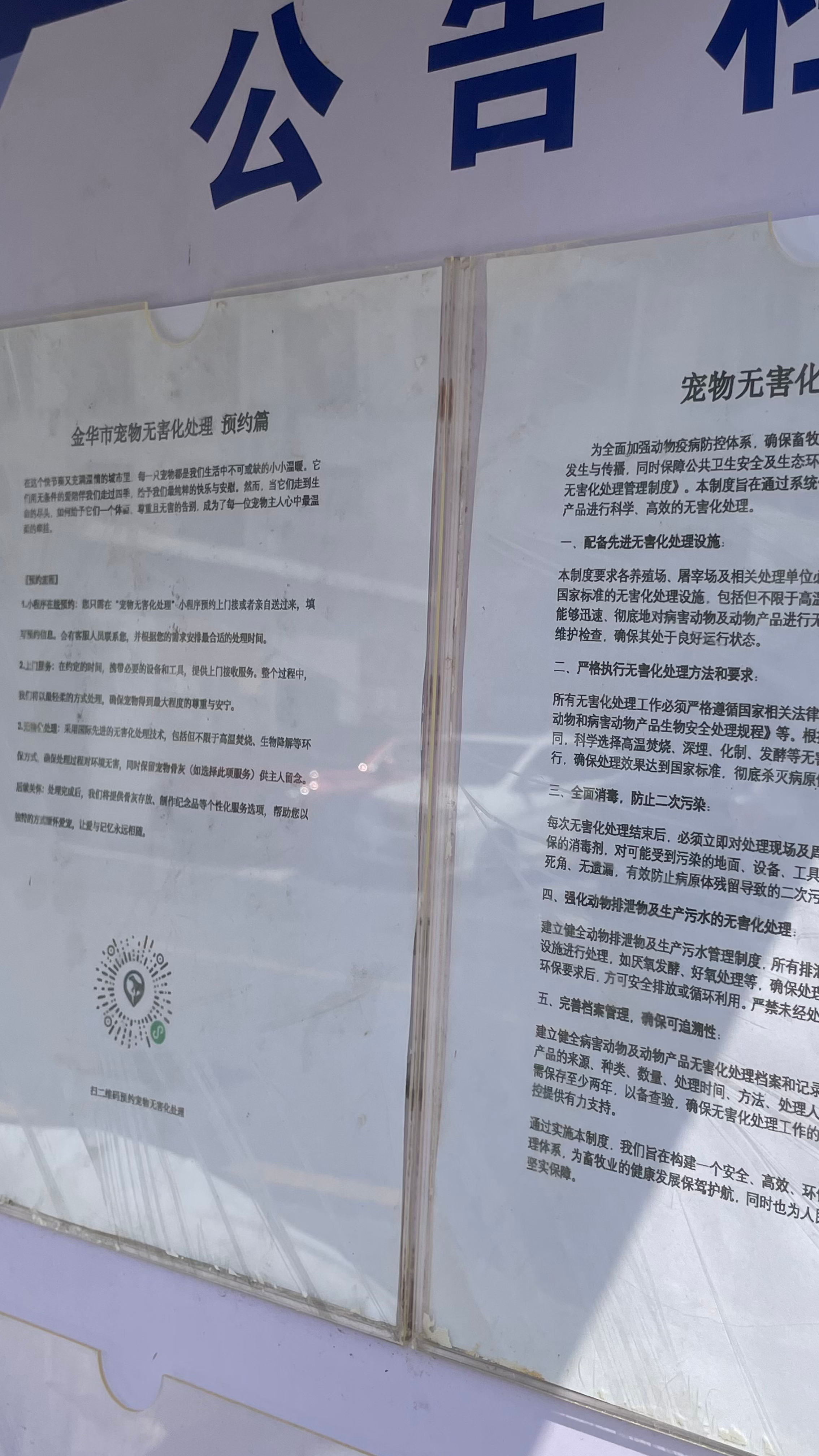 惠来宠物无害化