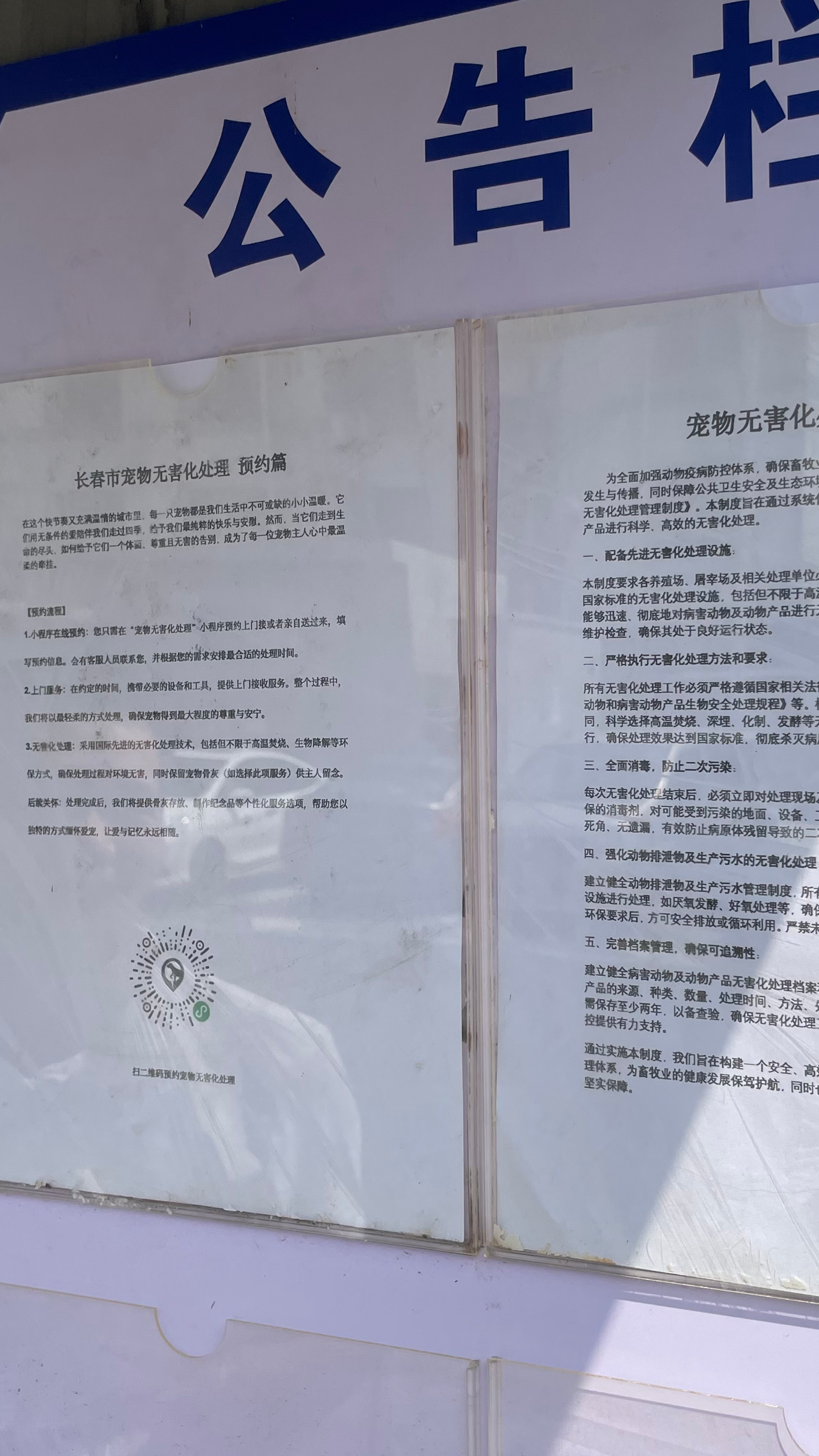 惠来宠摆渡服务