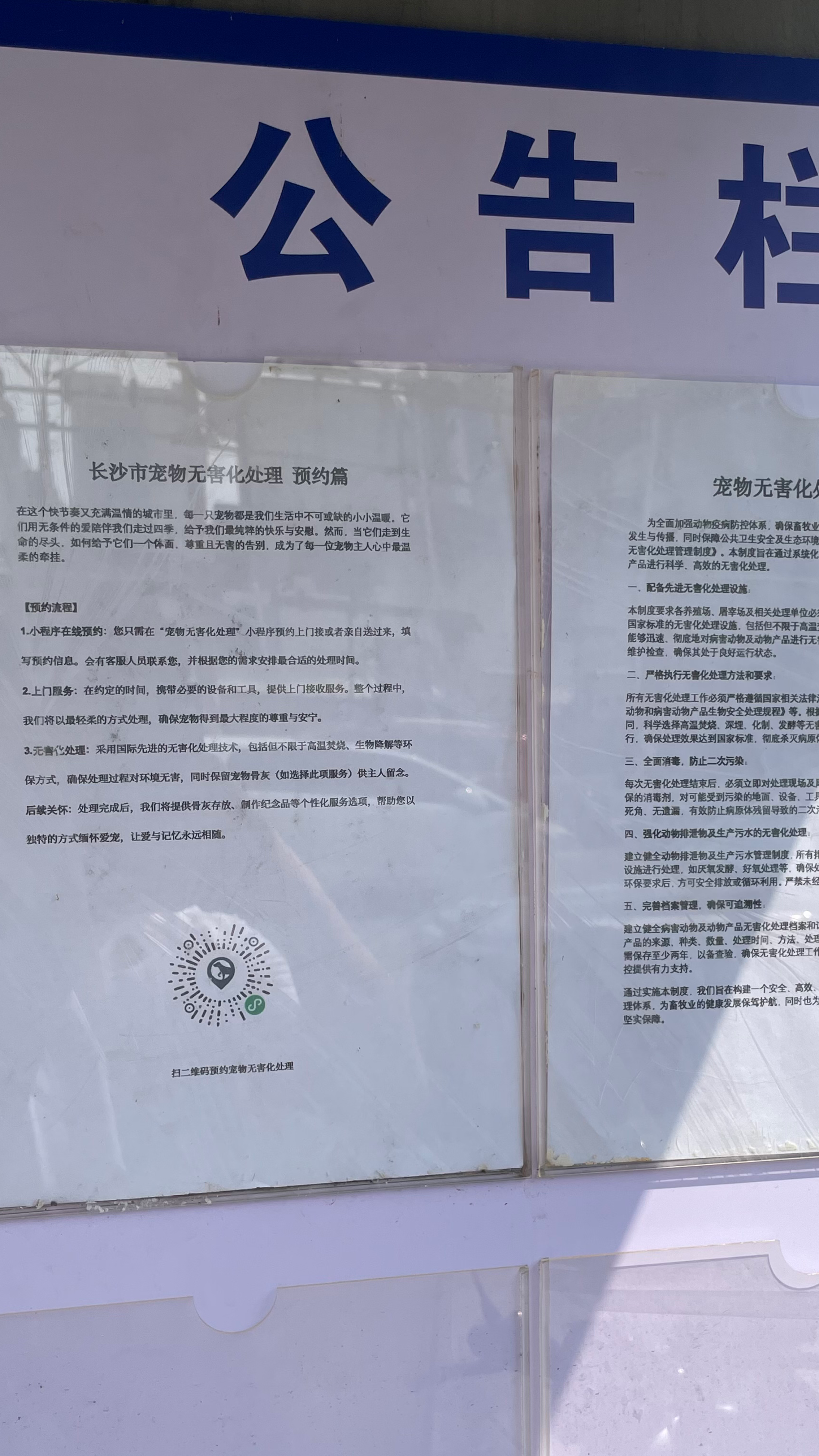 惠来宠物告别