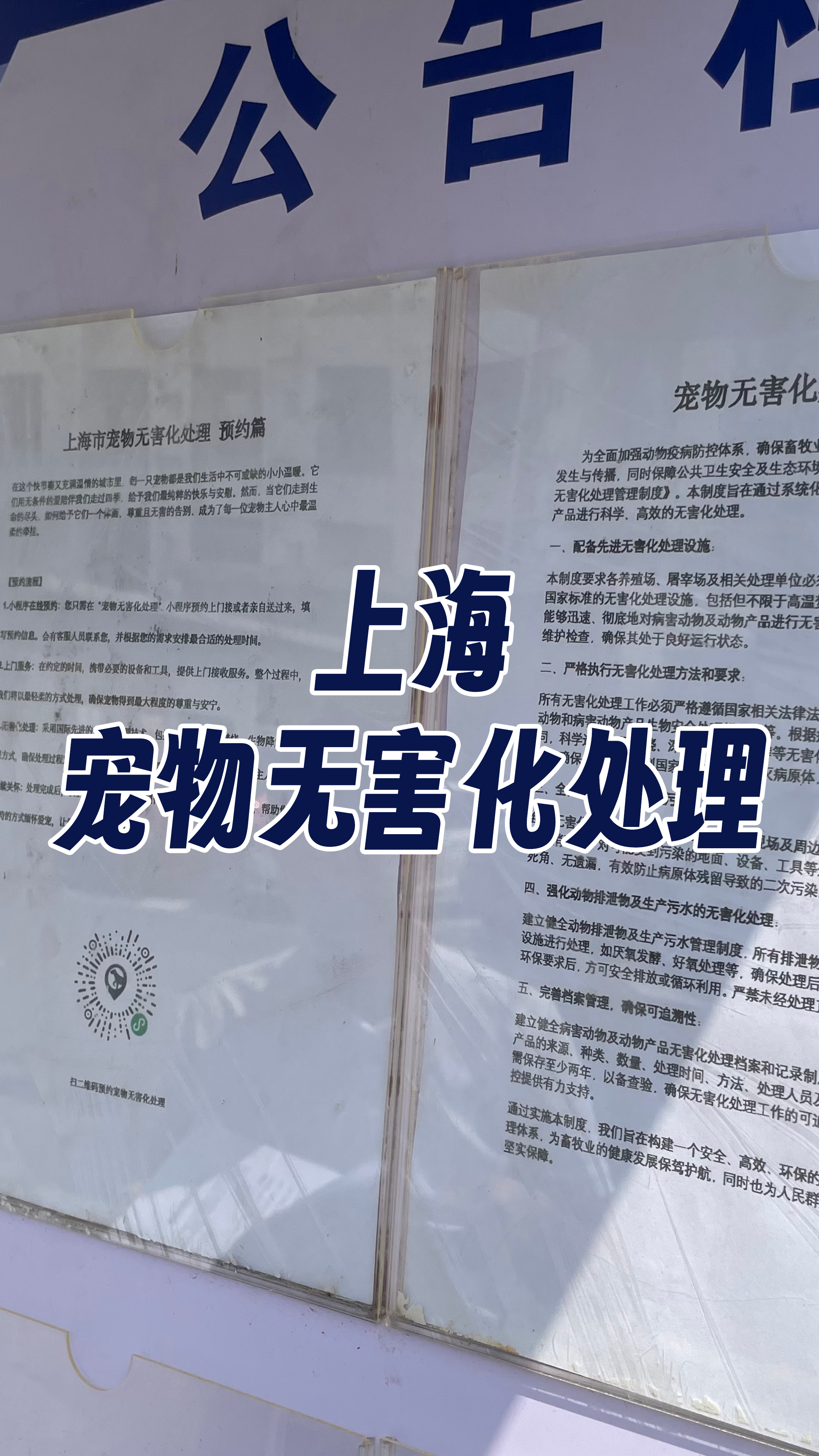 沈阳宠物遗体规范处理
