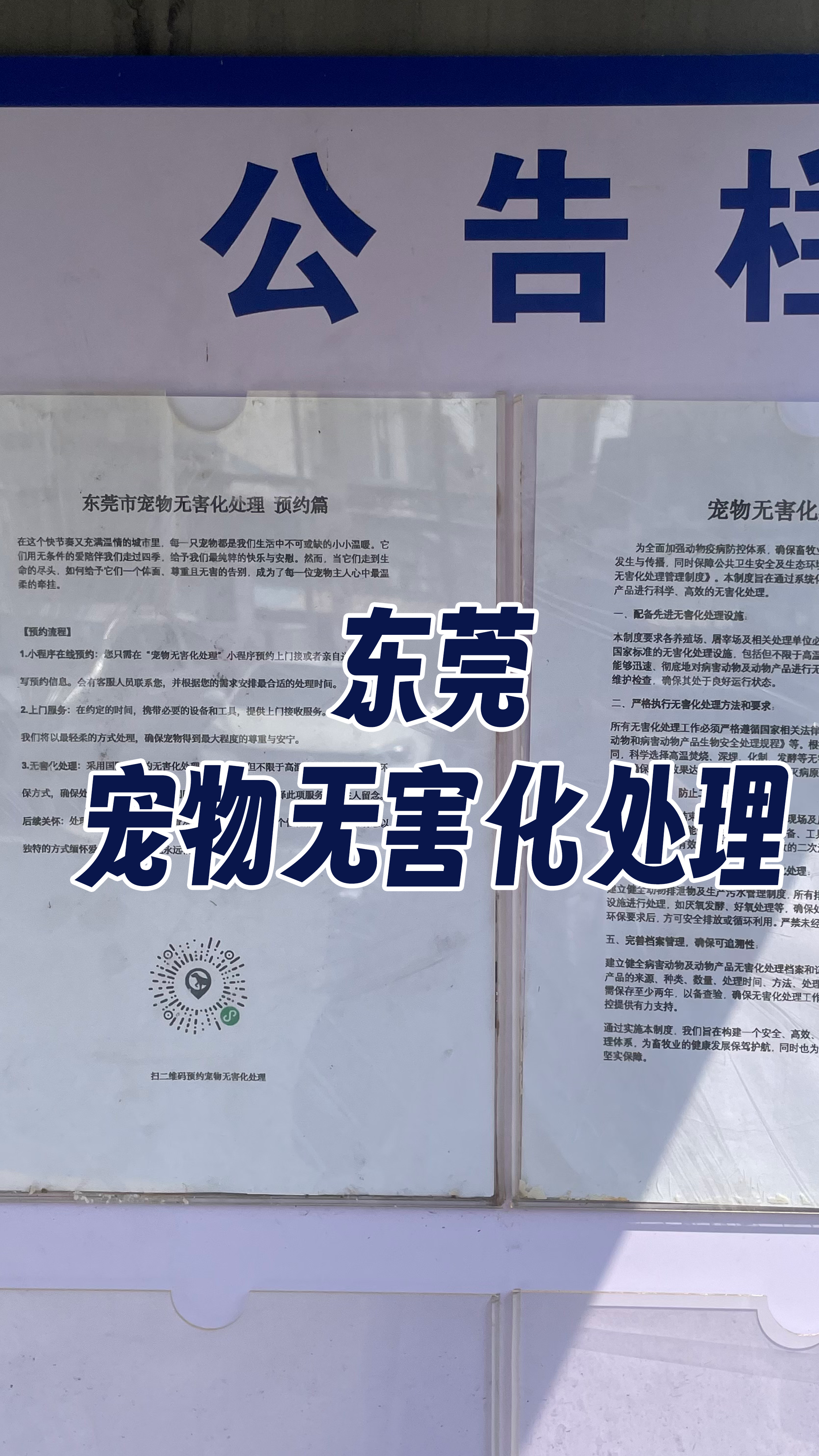 惠来宠物告别厅