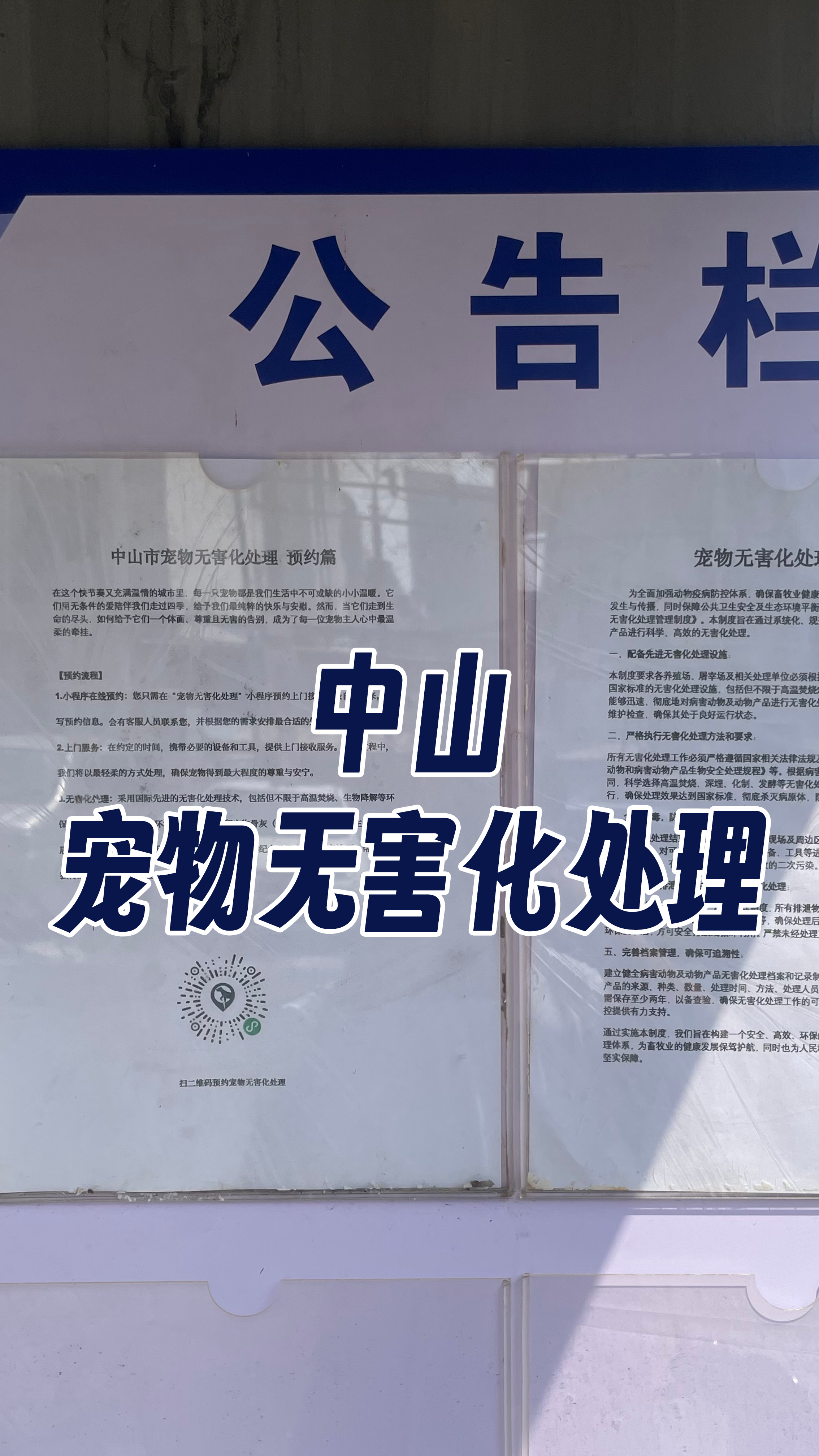 玉林宠物无害化处理机构