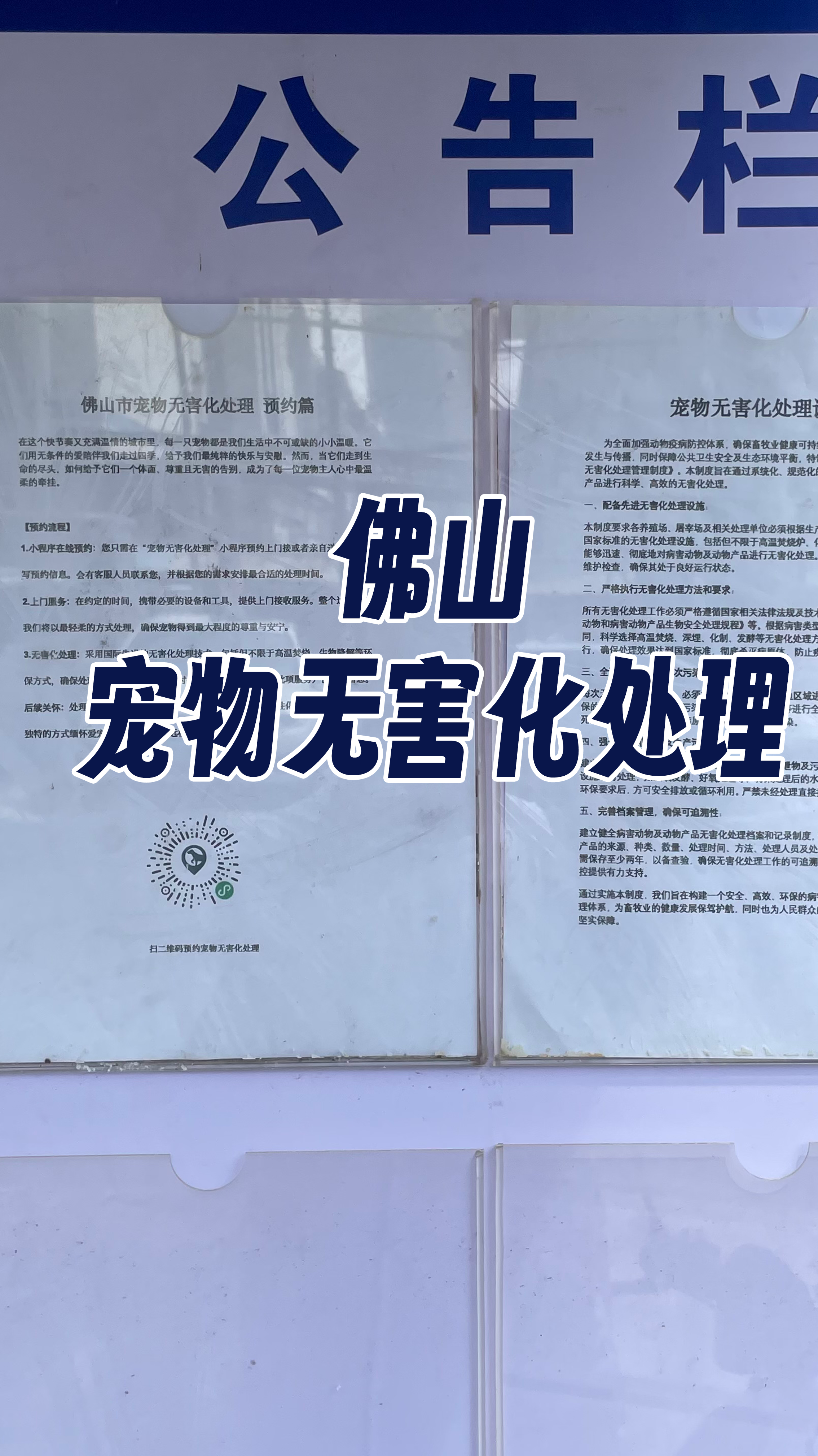 湛江宠物无害化处理机构