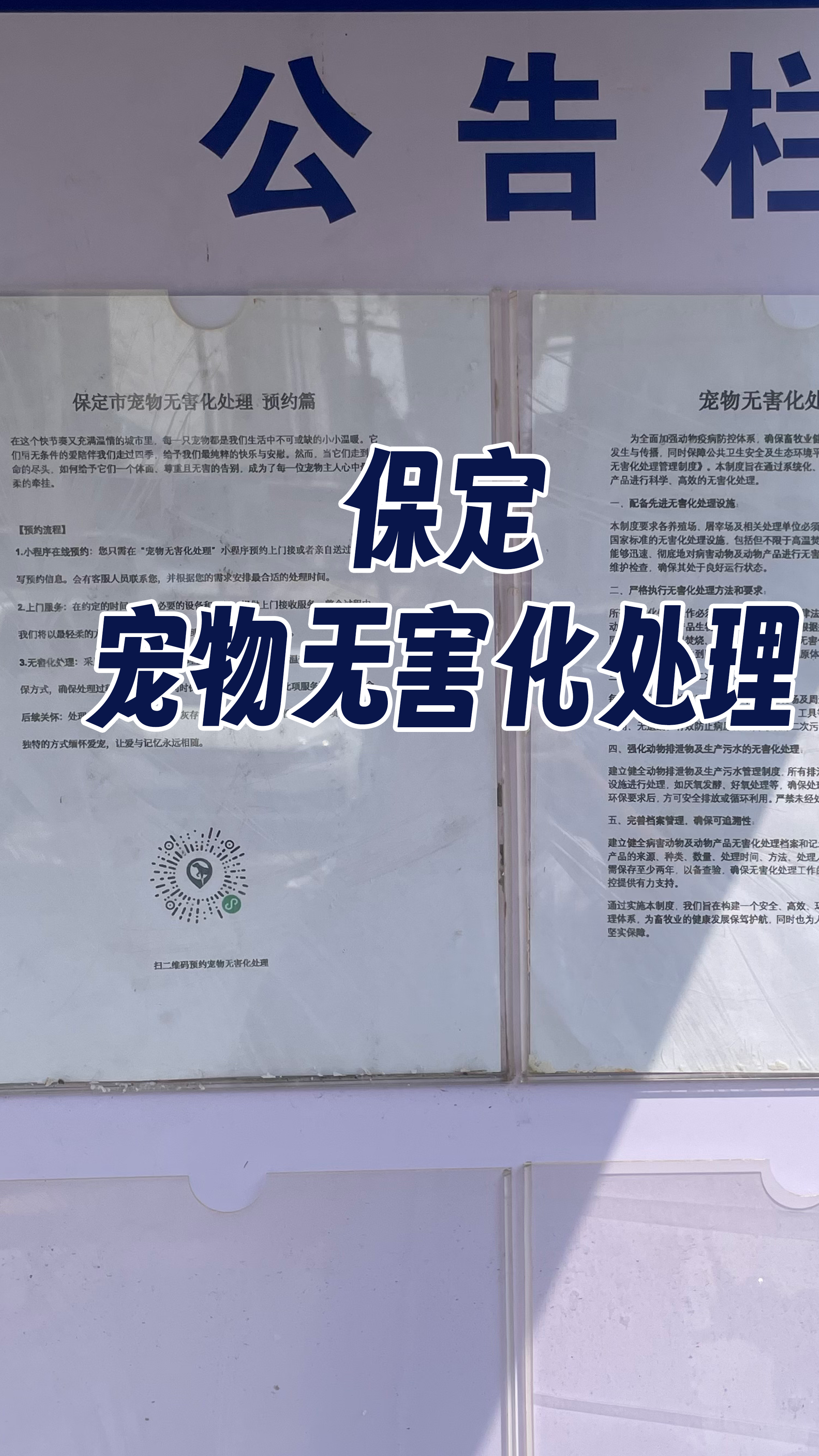 太原宠物遗体规范处理