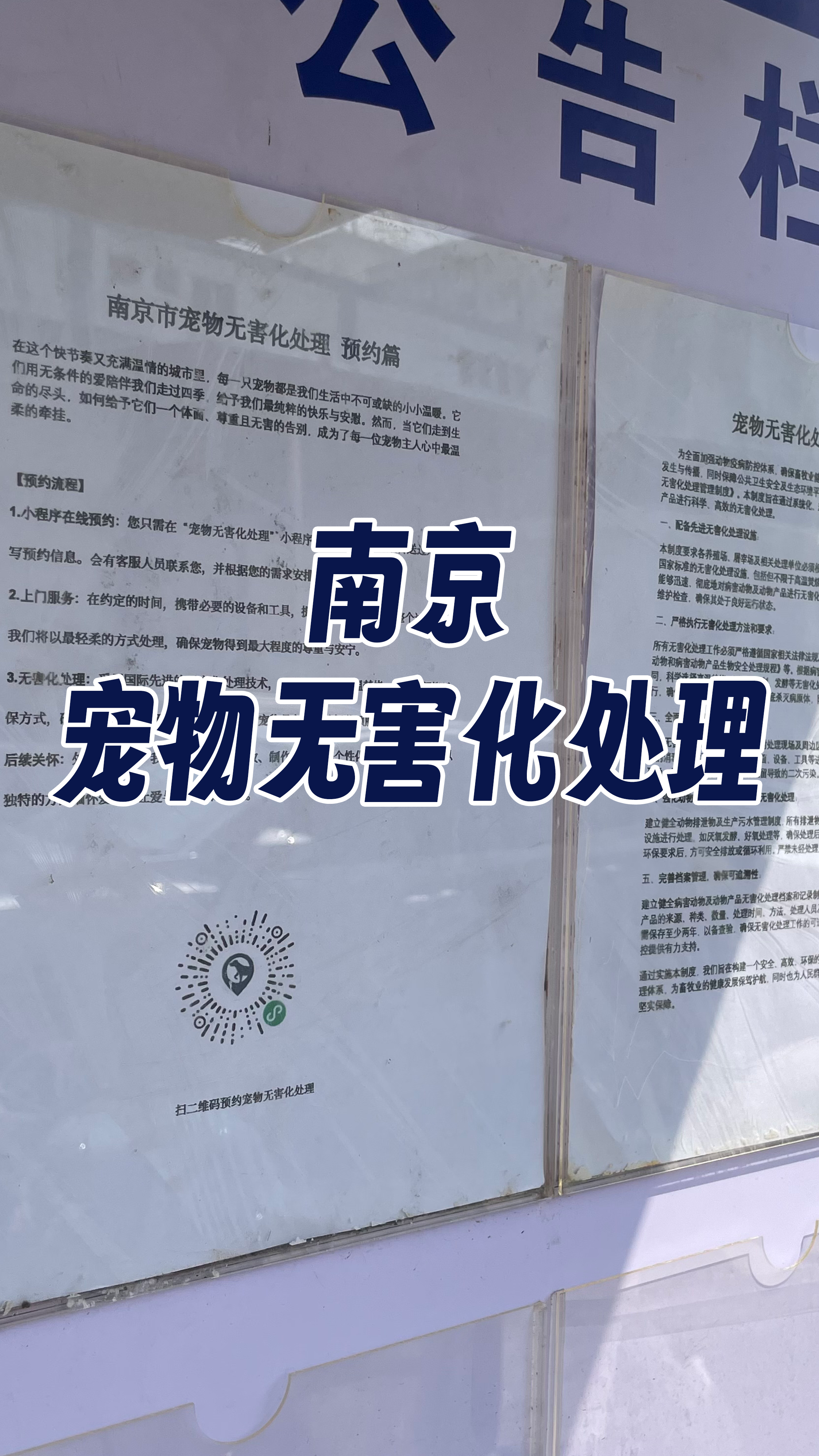 贵阳宠物遗体规范处理