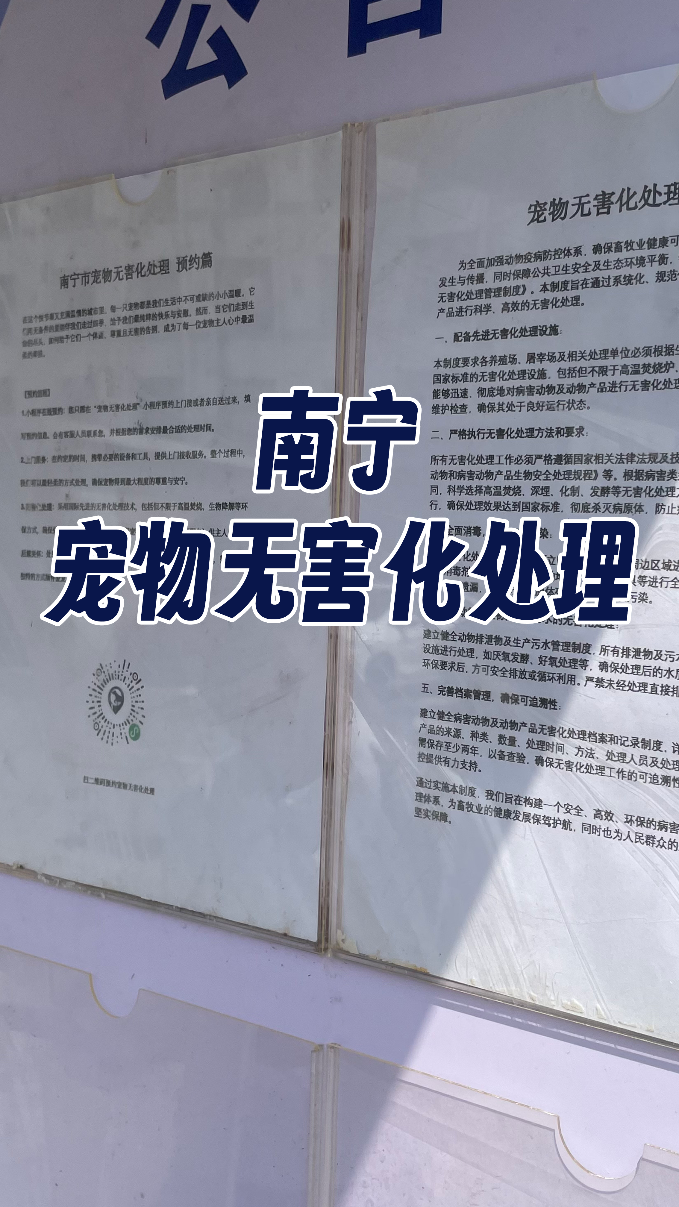普宁宠物接运服务