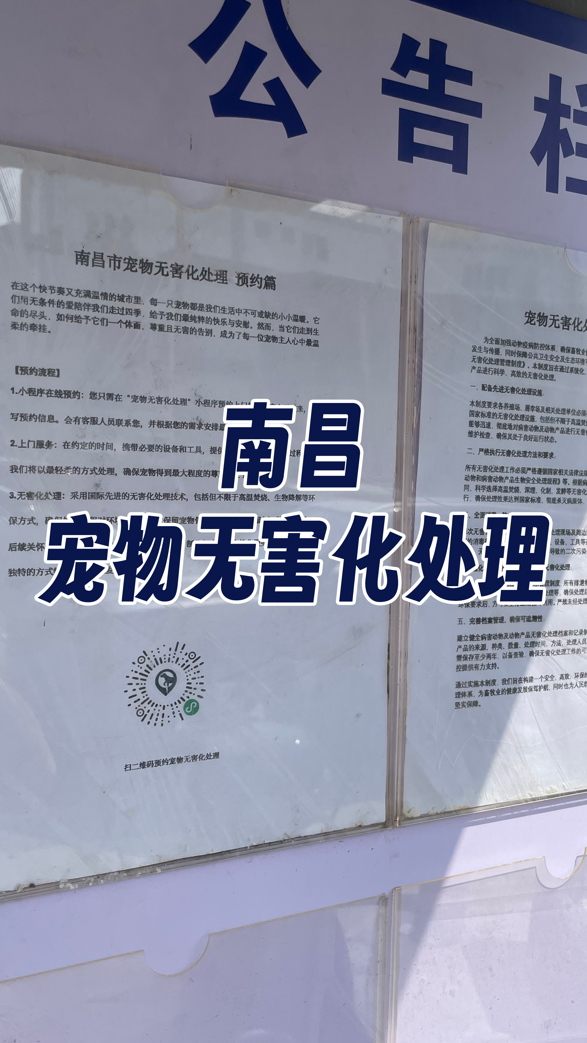 普宁宠物告别厅