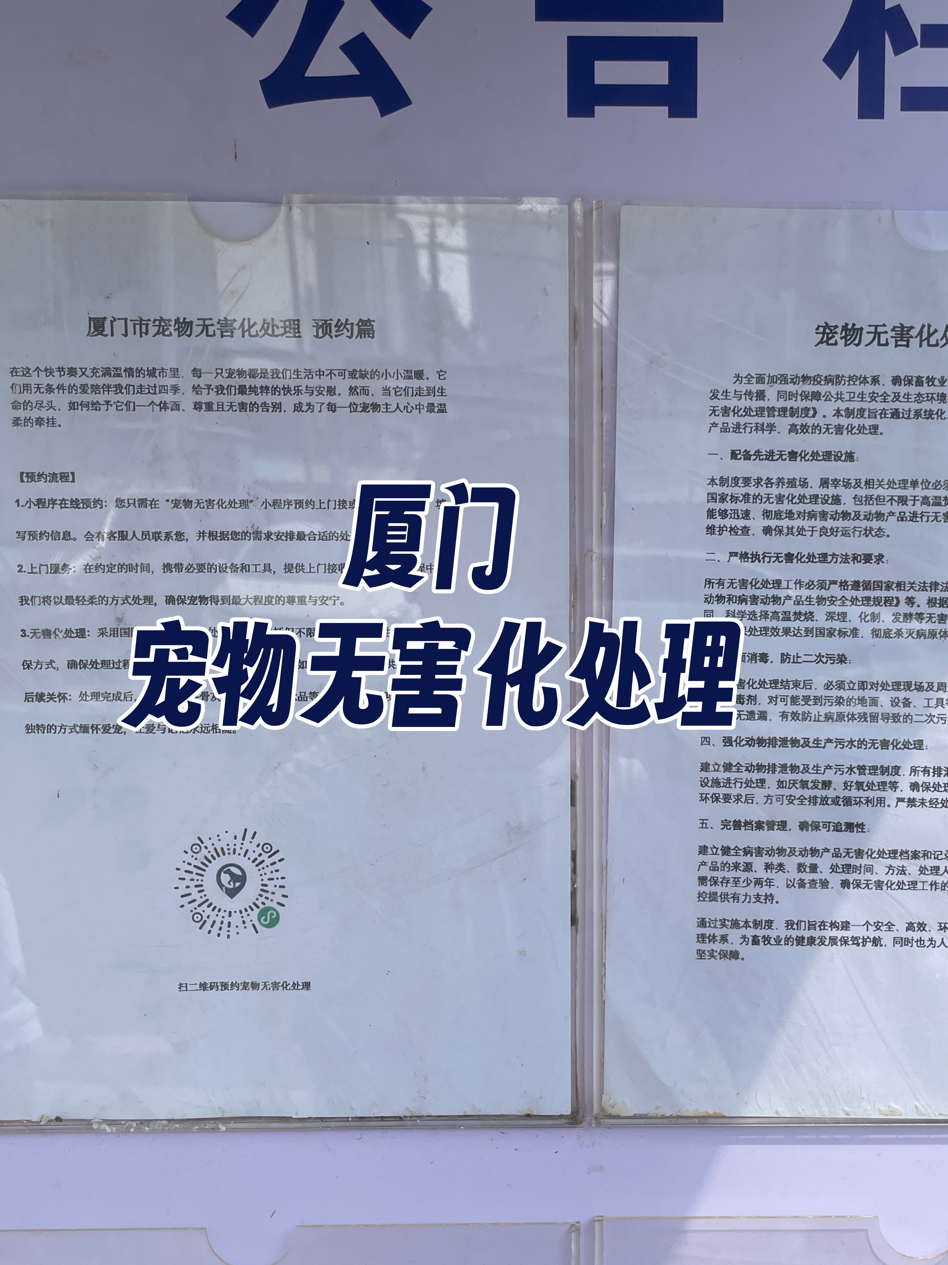 城区宠物无害化处理