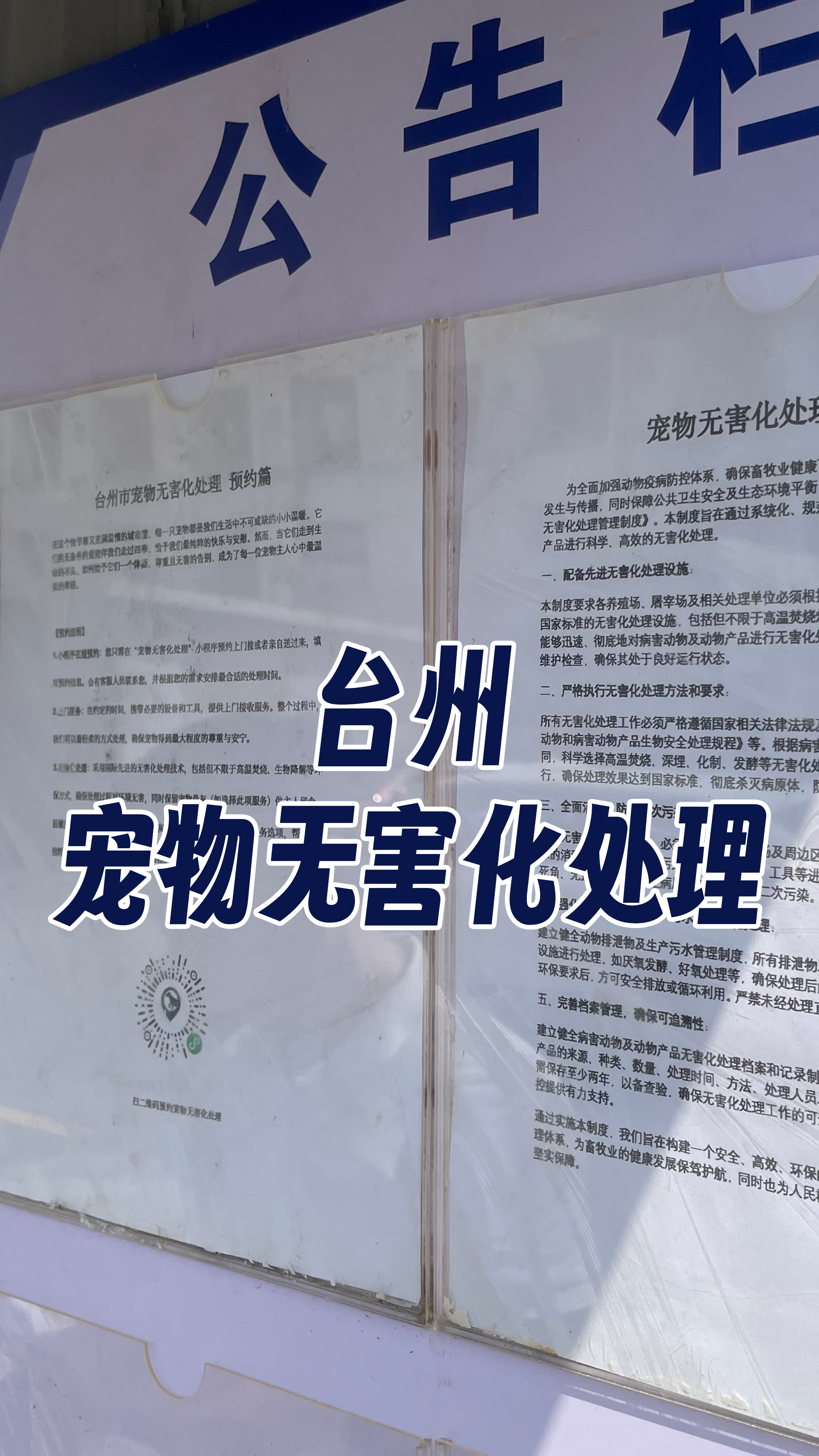城区宠物无害化
