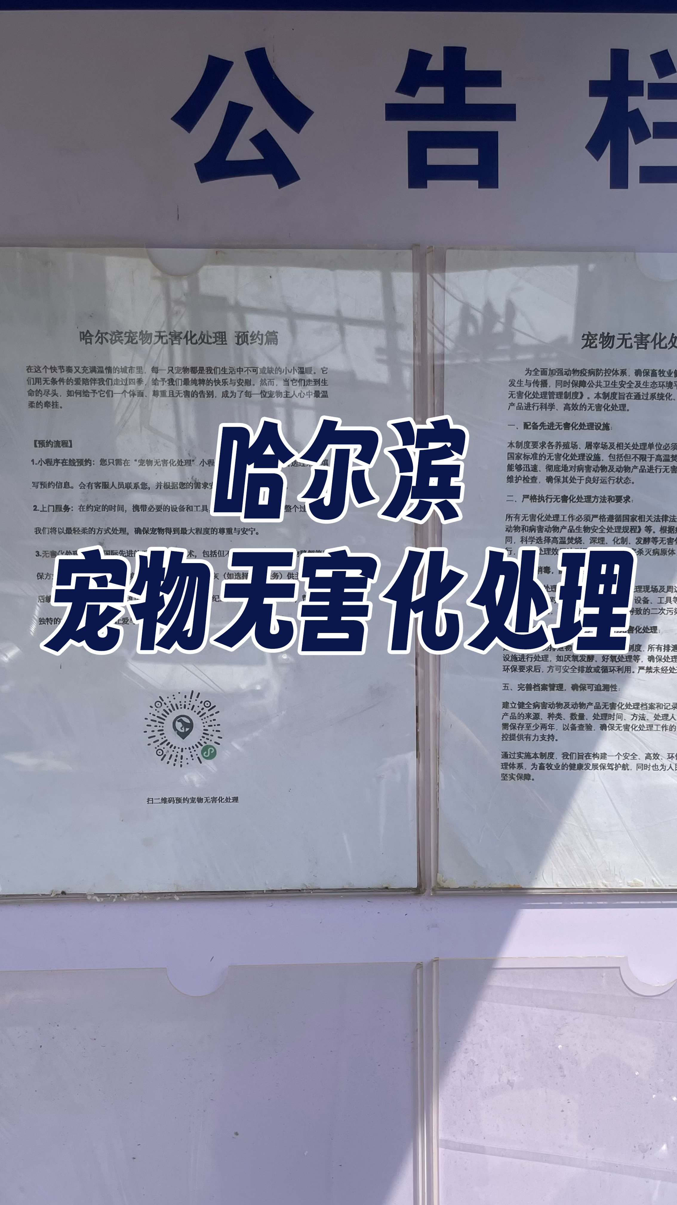 城区宠物告别