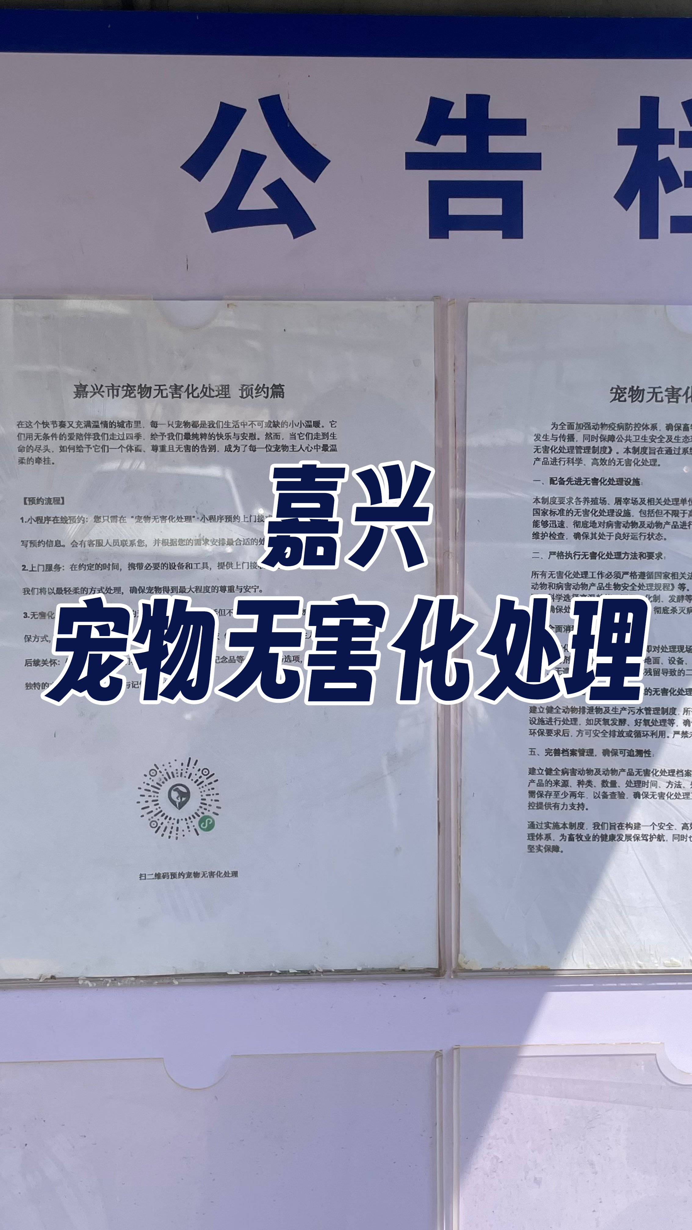 兰州宠物无害化处理机构