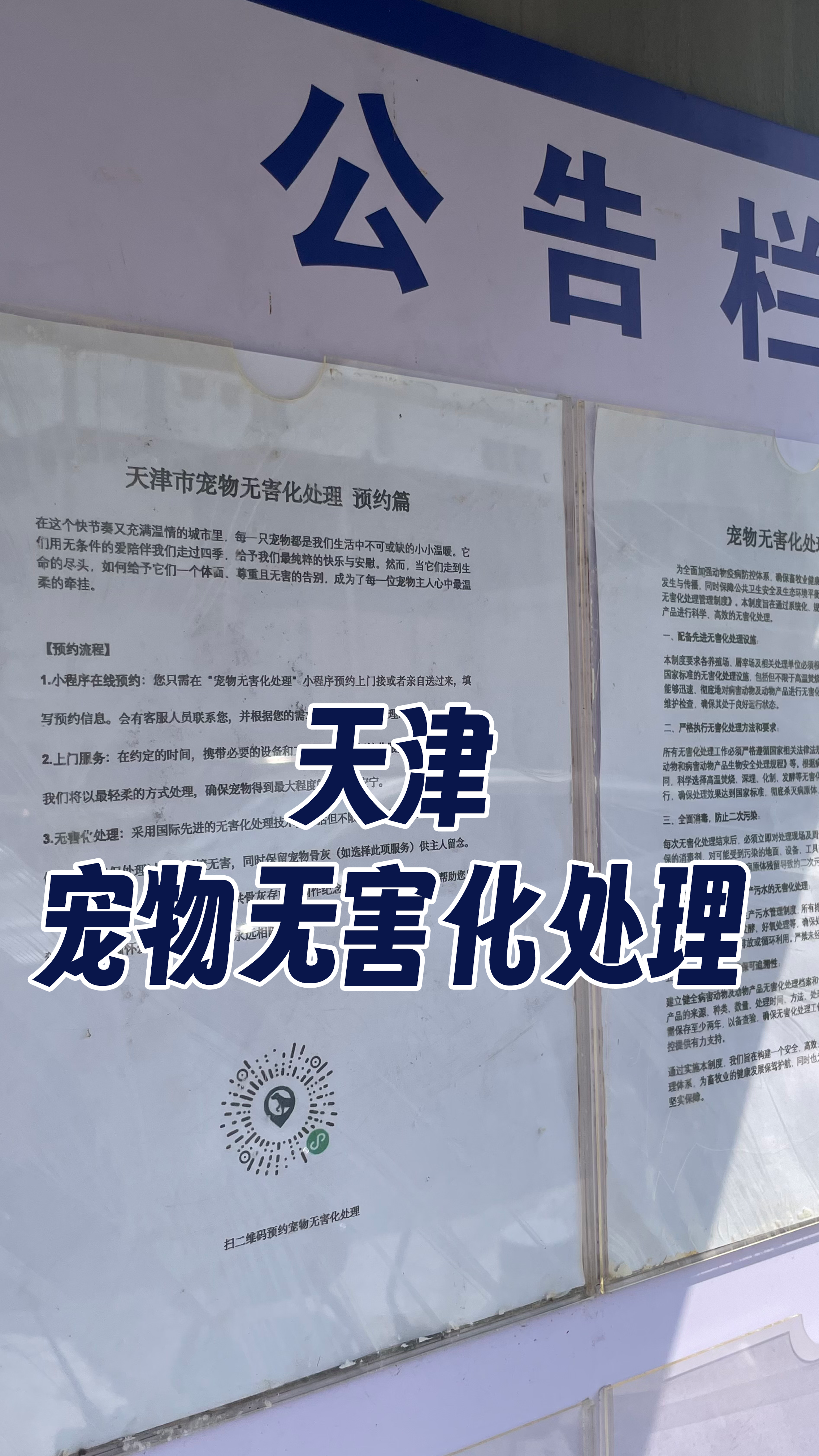 湛江宠物无害化处理