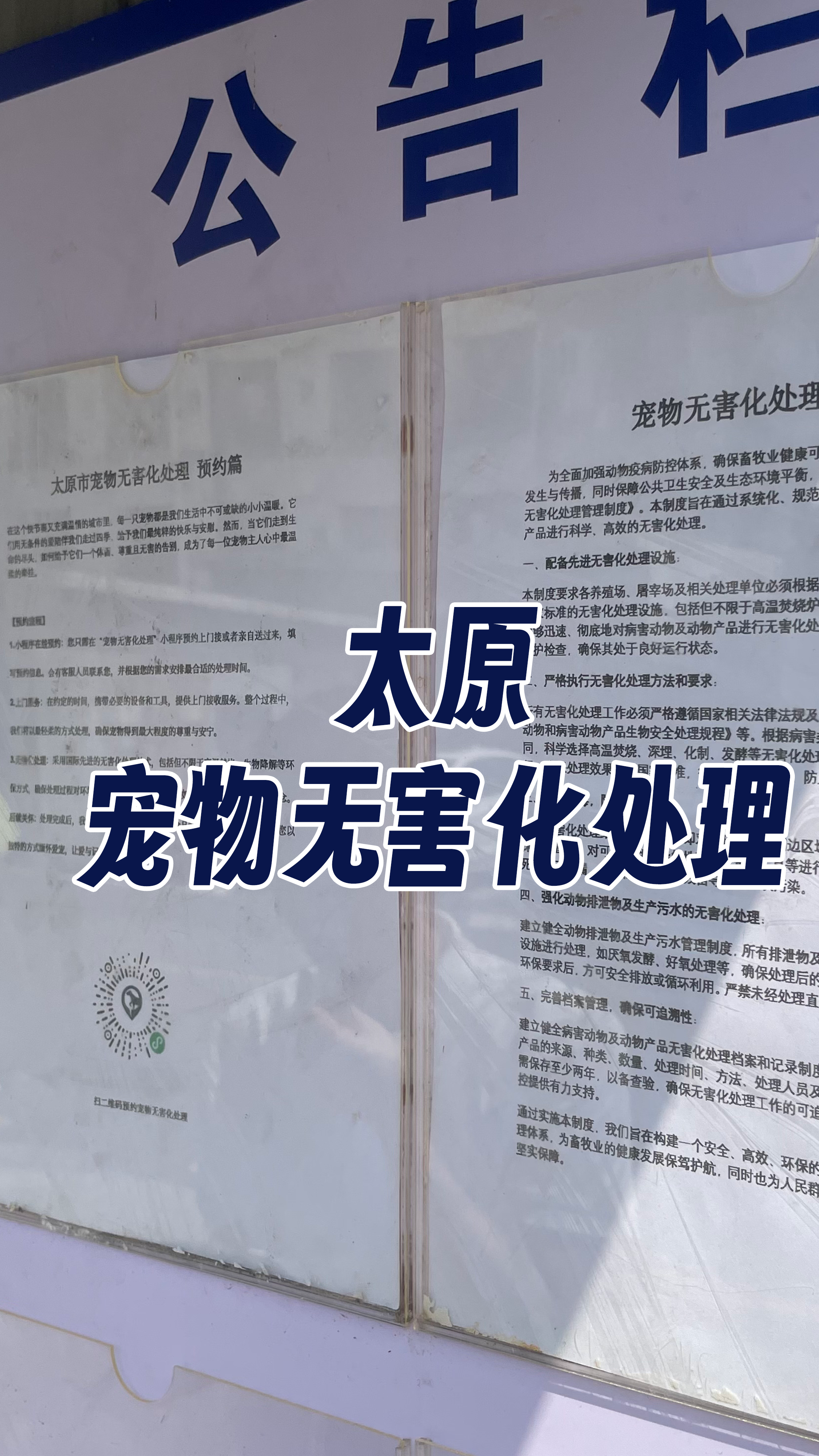 城区宠物骨灰安置
