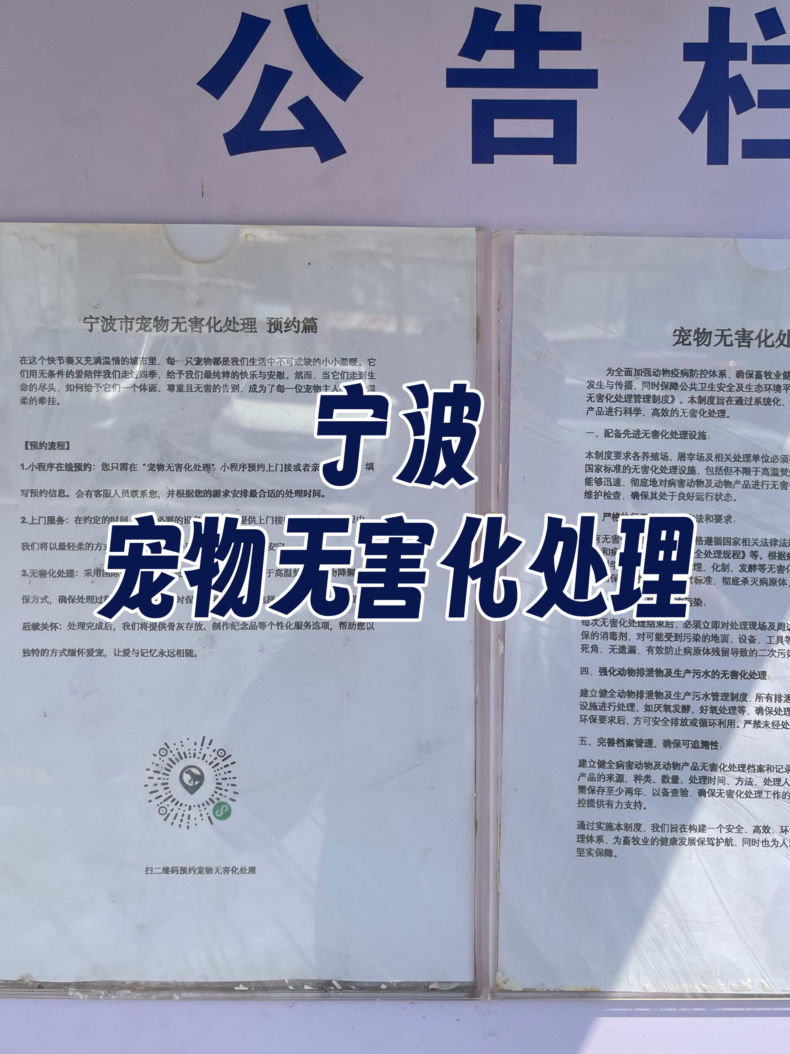 萍乡宠物无害化处理机构