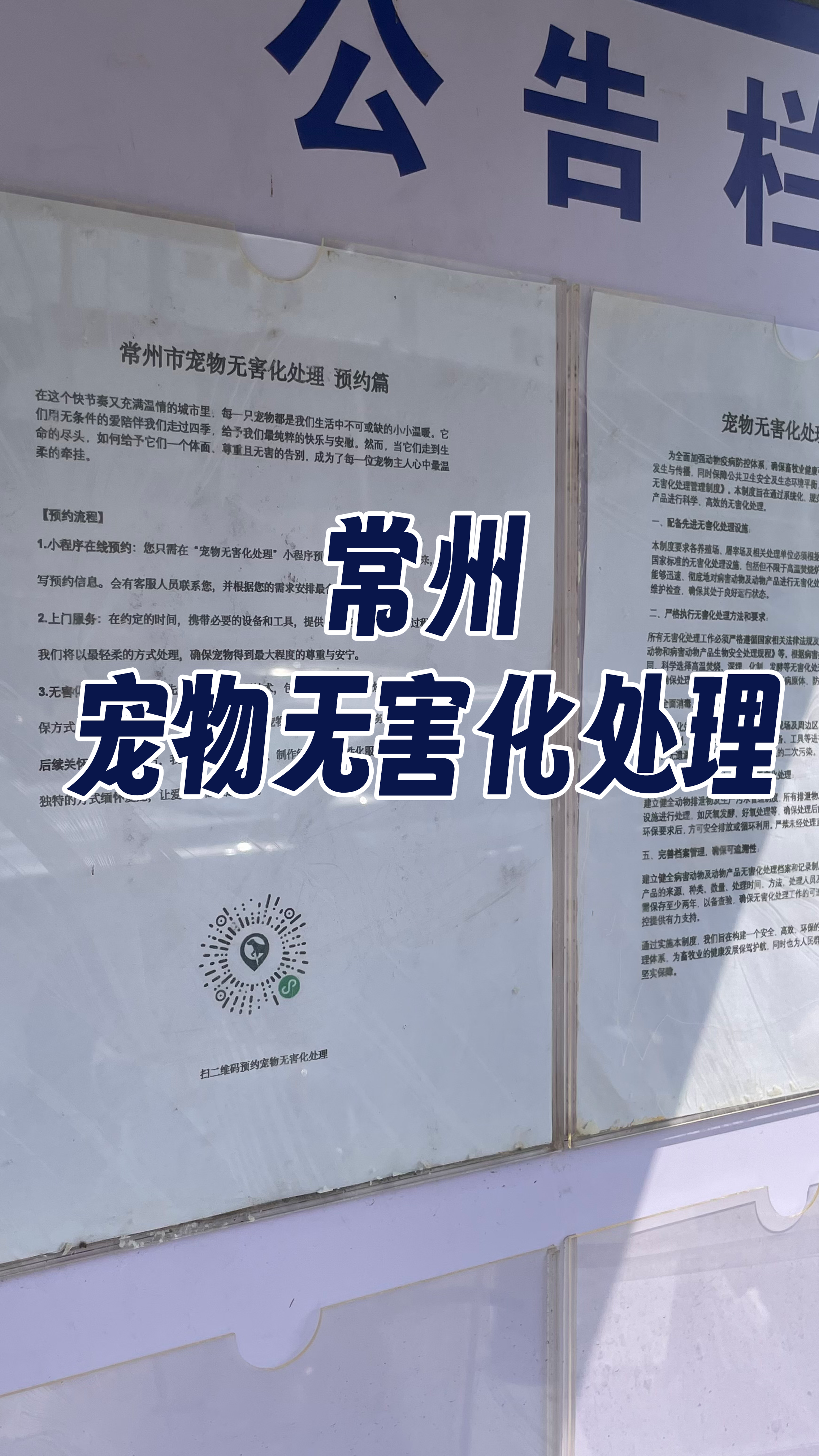 海丰宠物无害化