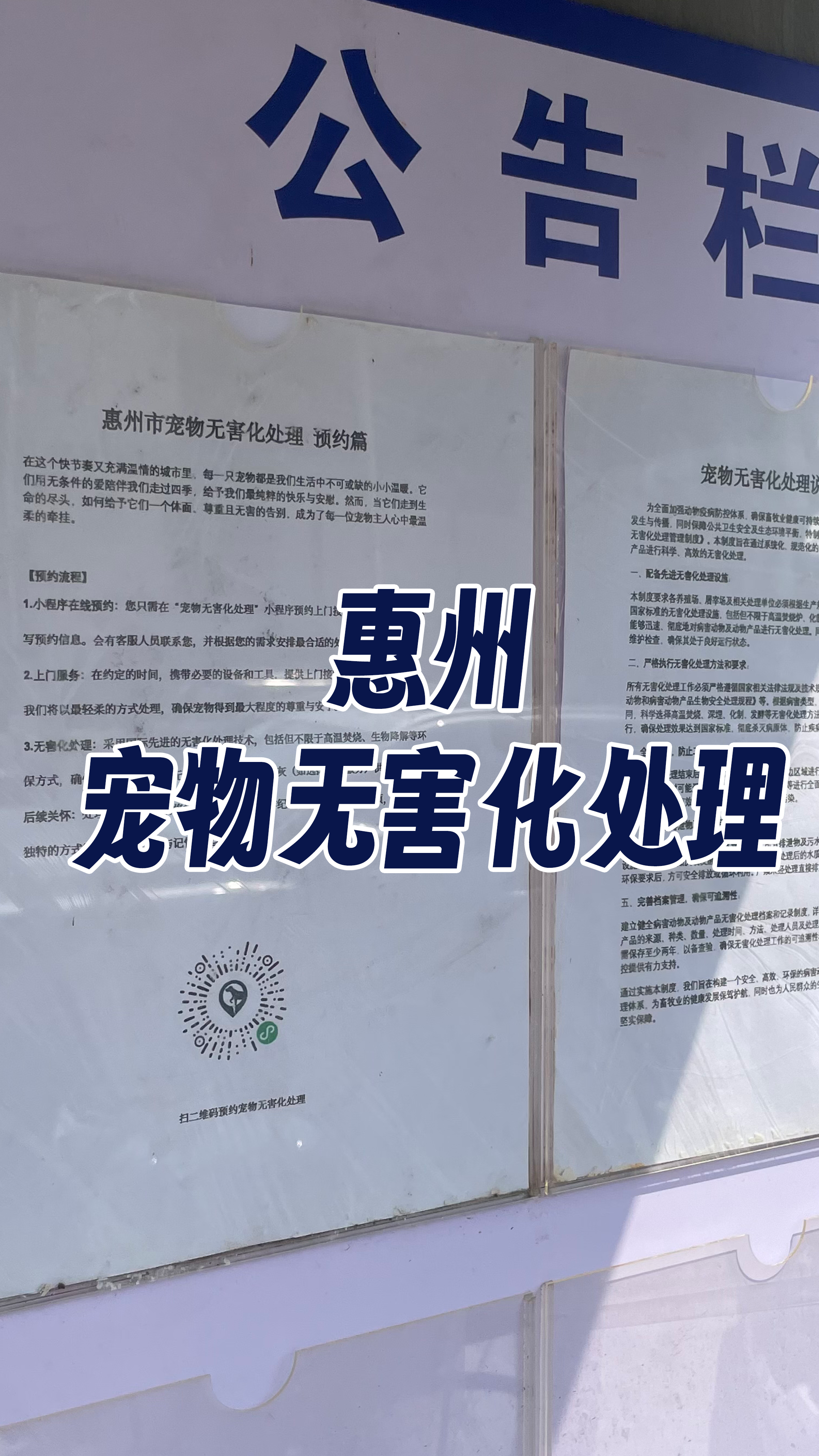 海丰宠物无害化处理流程