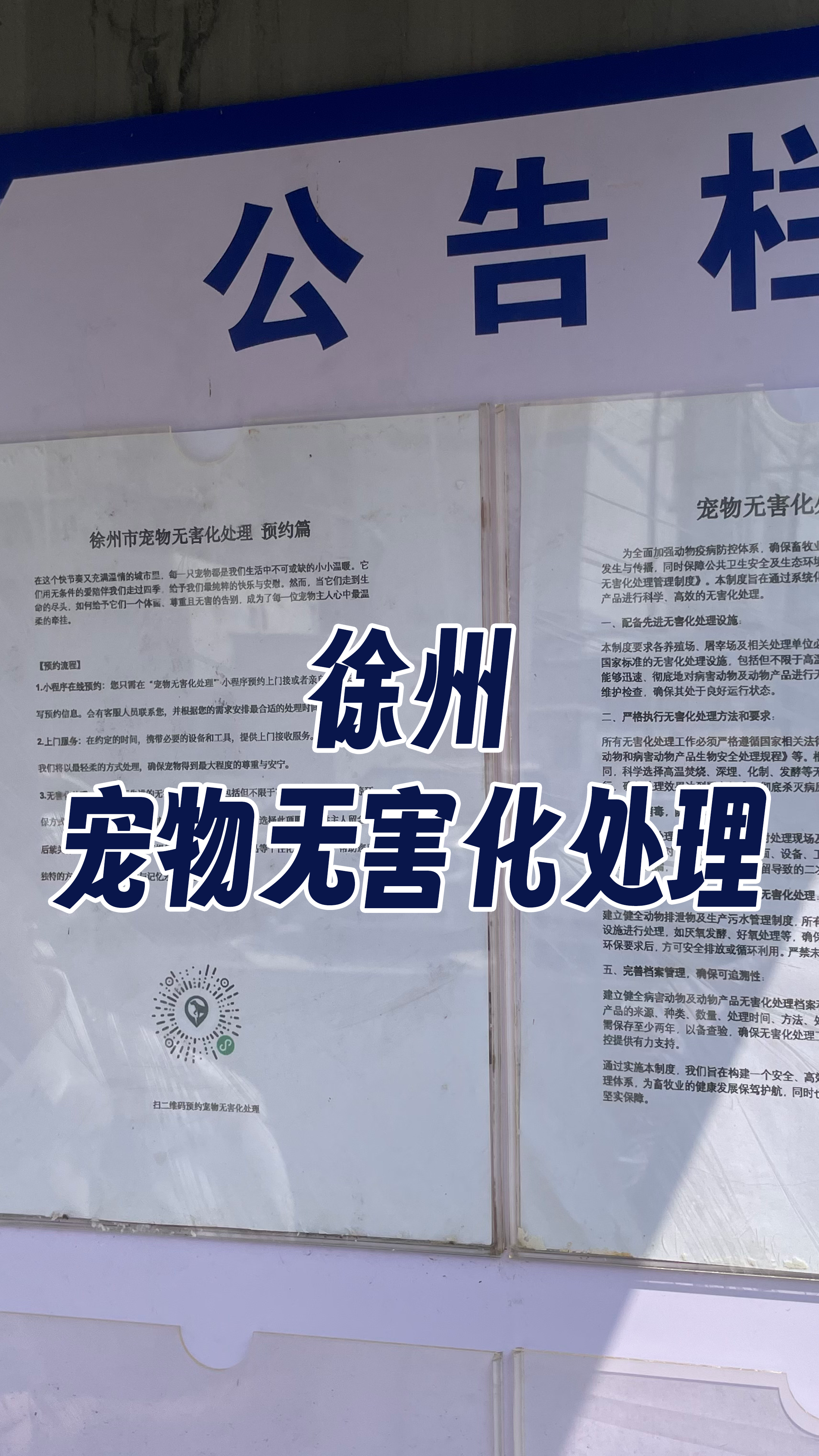 海丰宠物告别