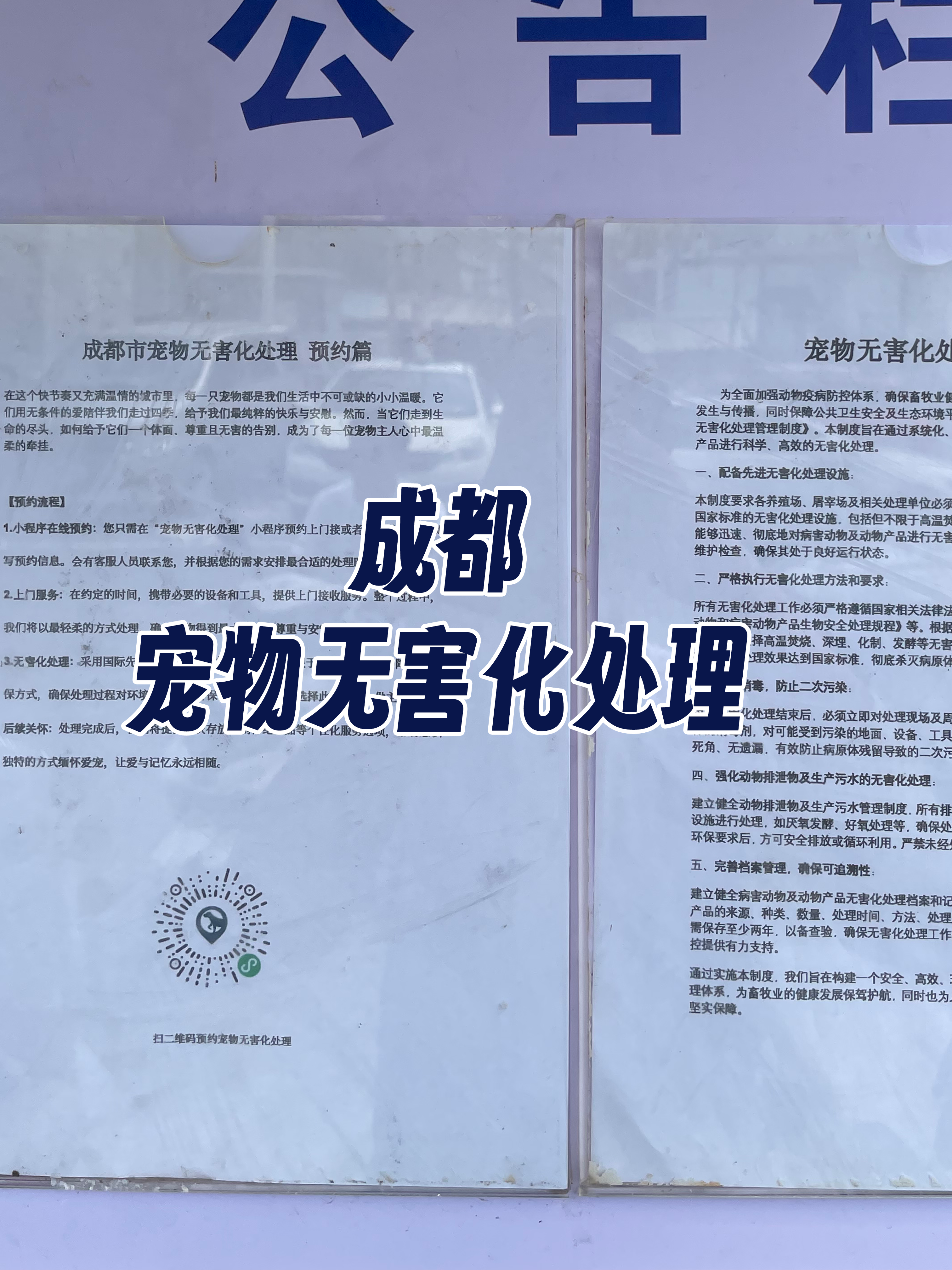 南宁宠物无害化处理