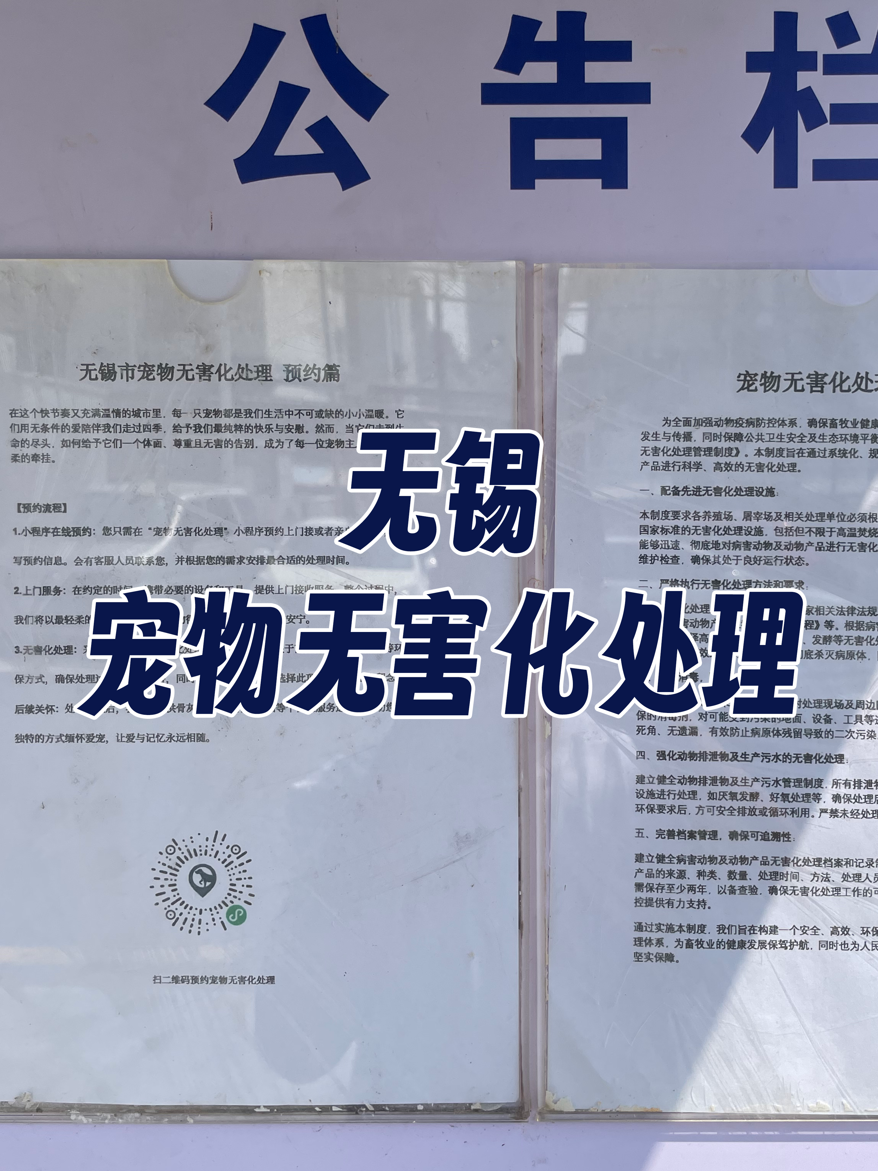 海丰宠物告别厅