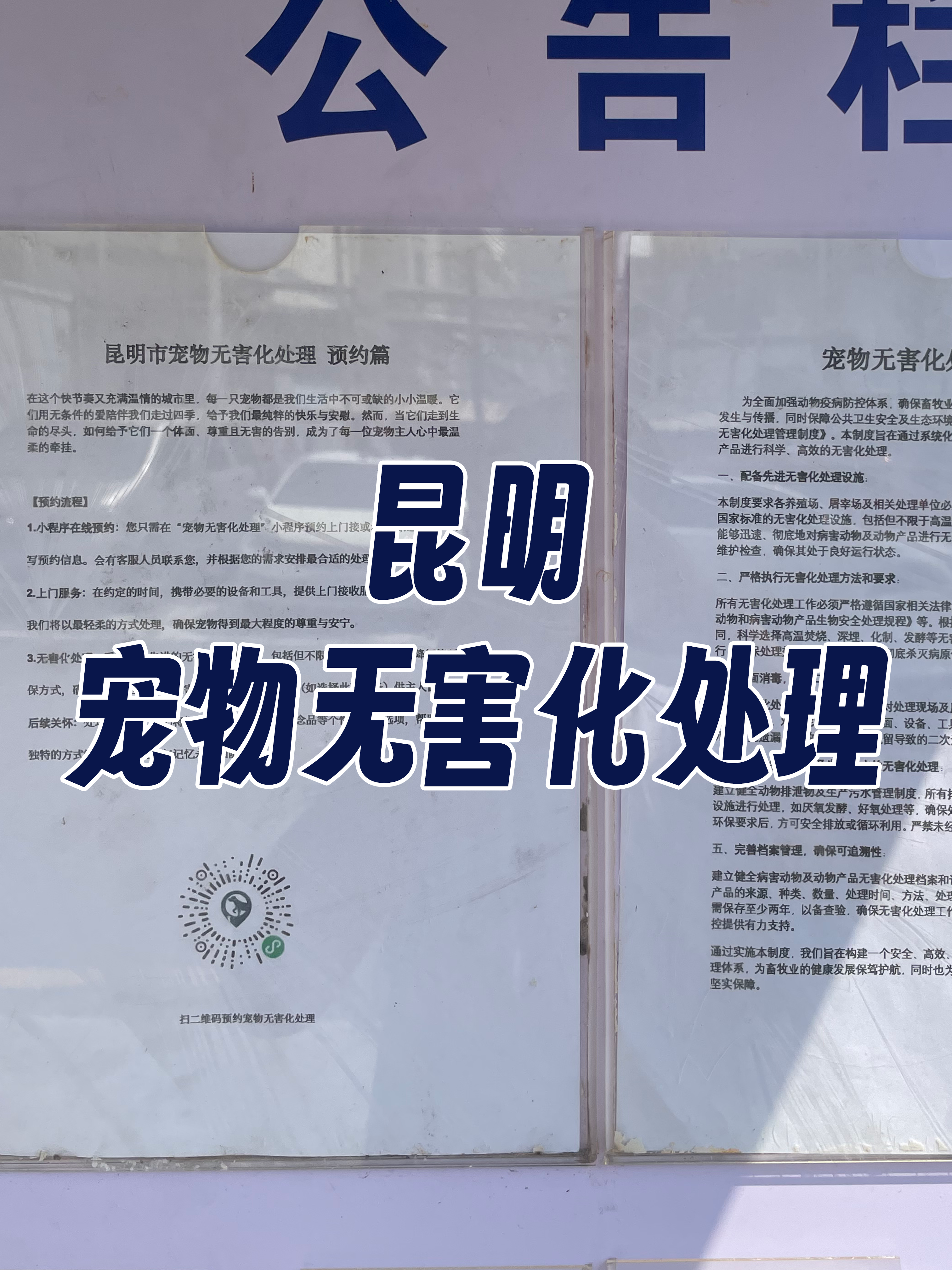海丰宠物骨灰安置