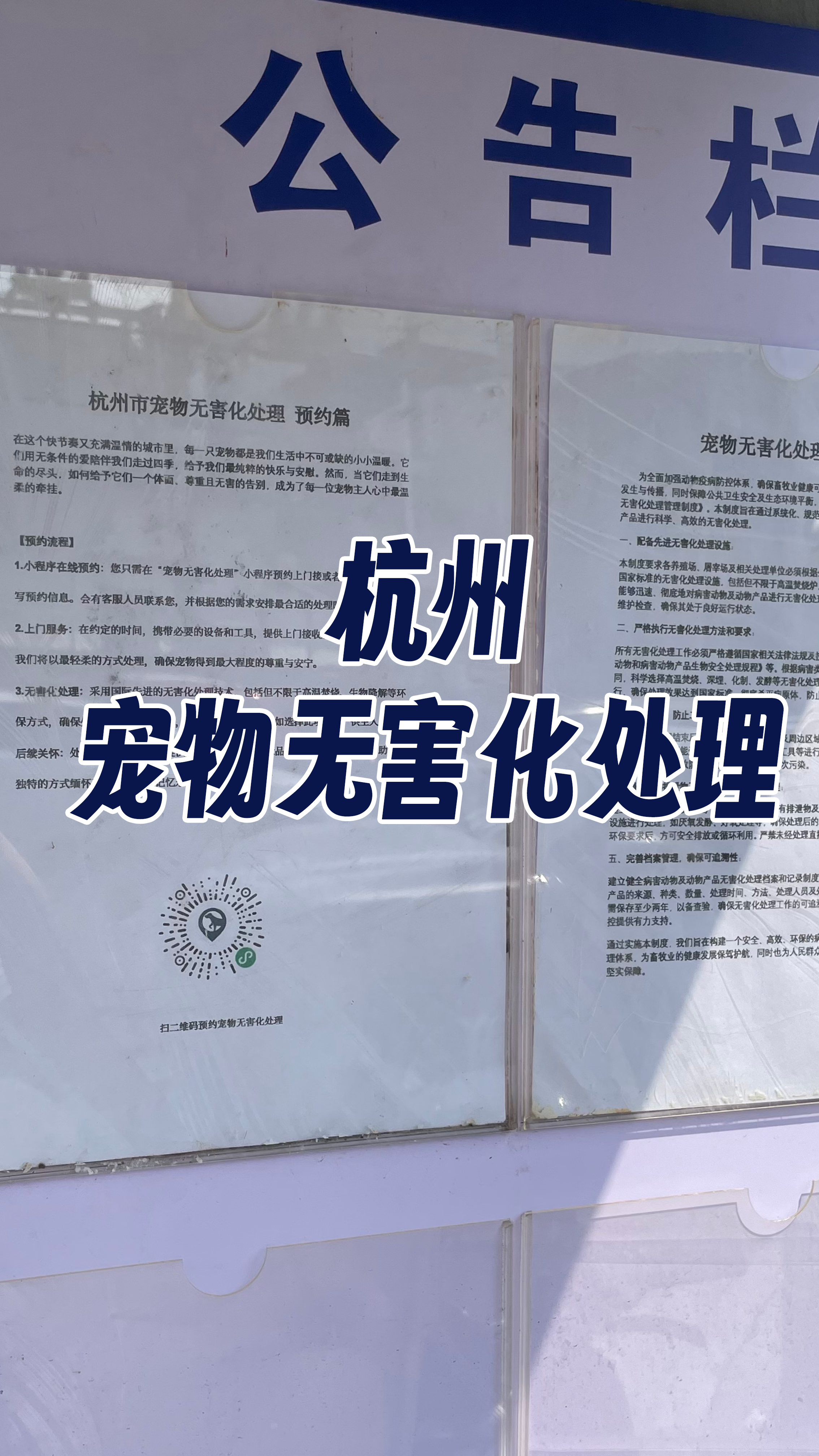湖州宠物无害化处理机构