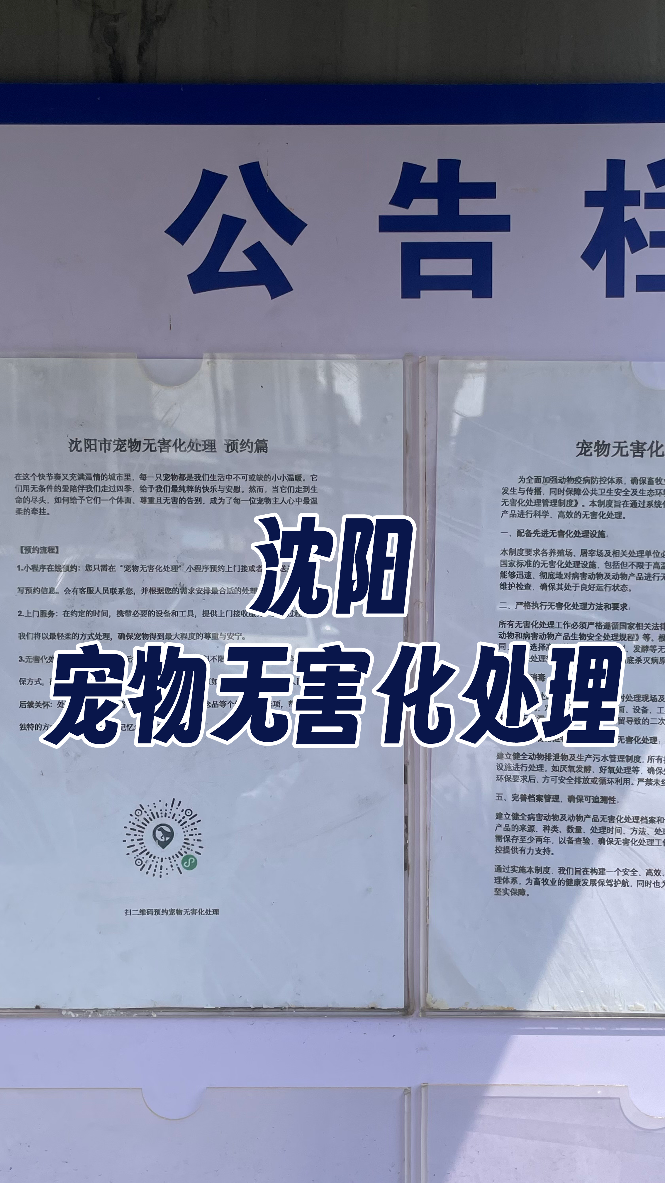 梅州宠物无害化处理
