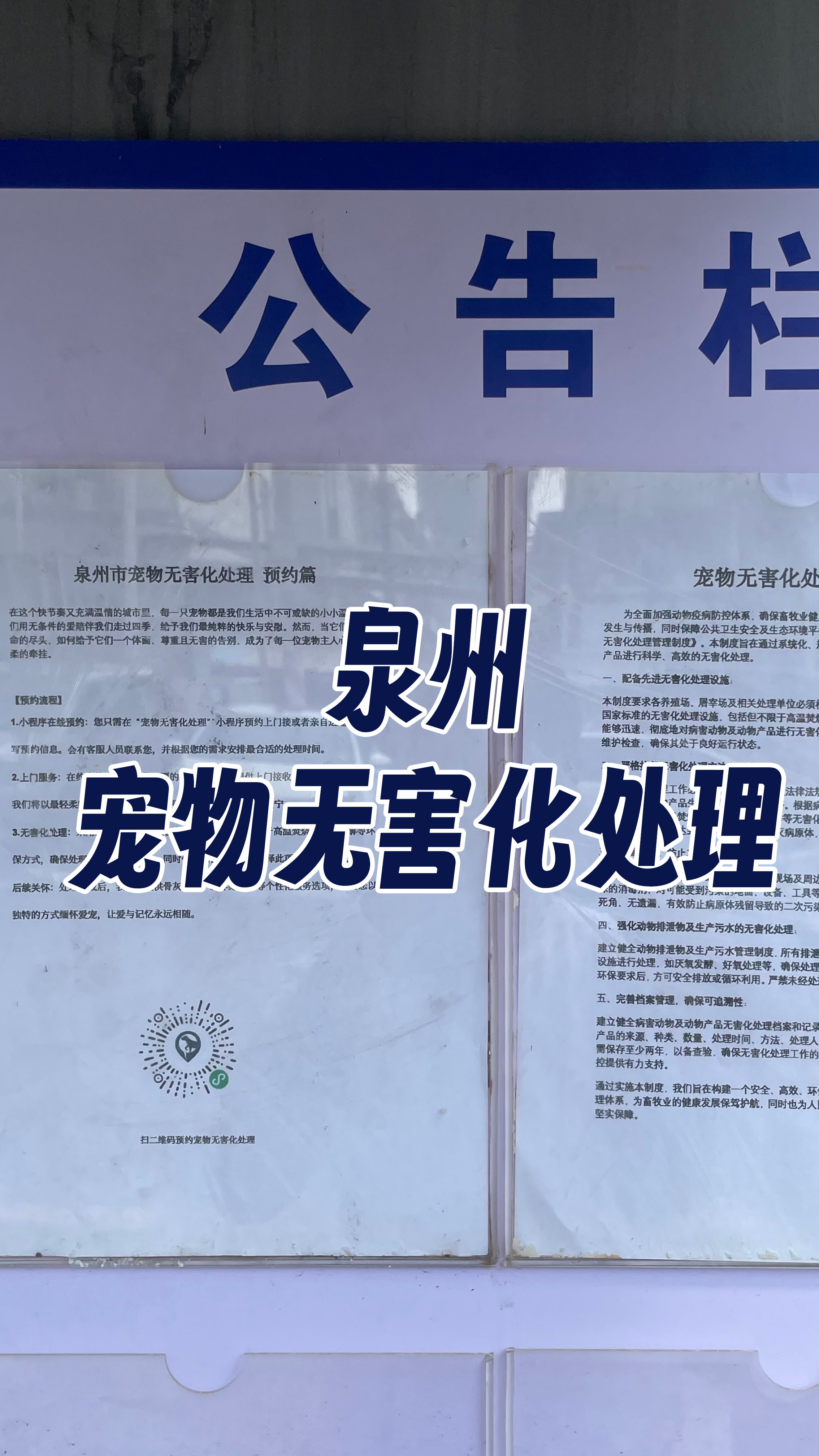 陆河宠物告别