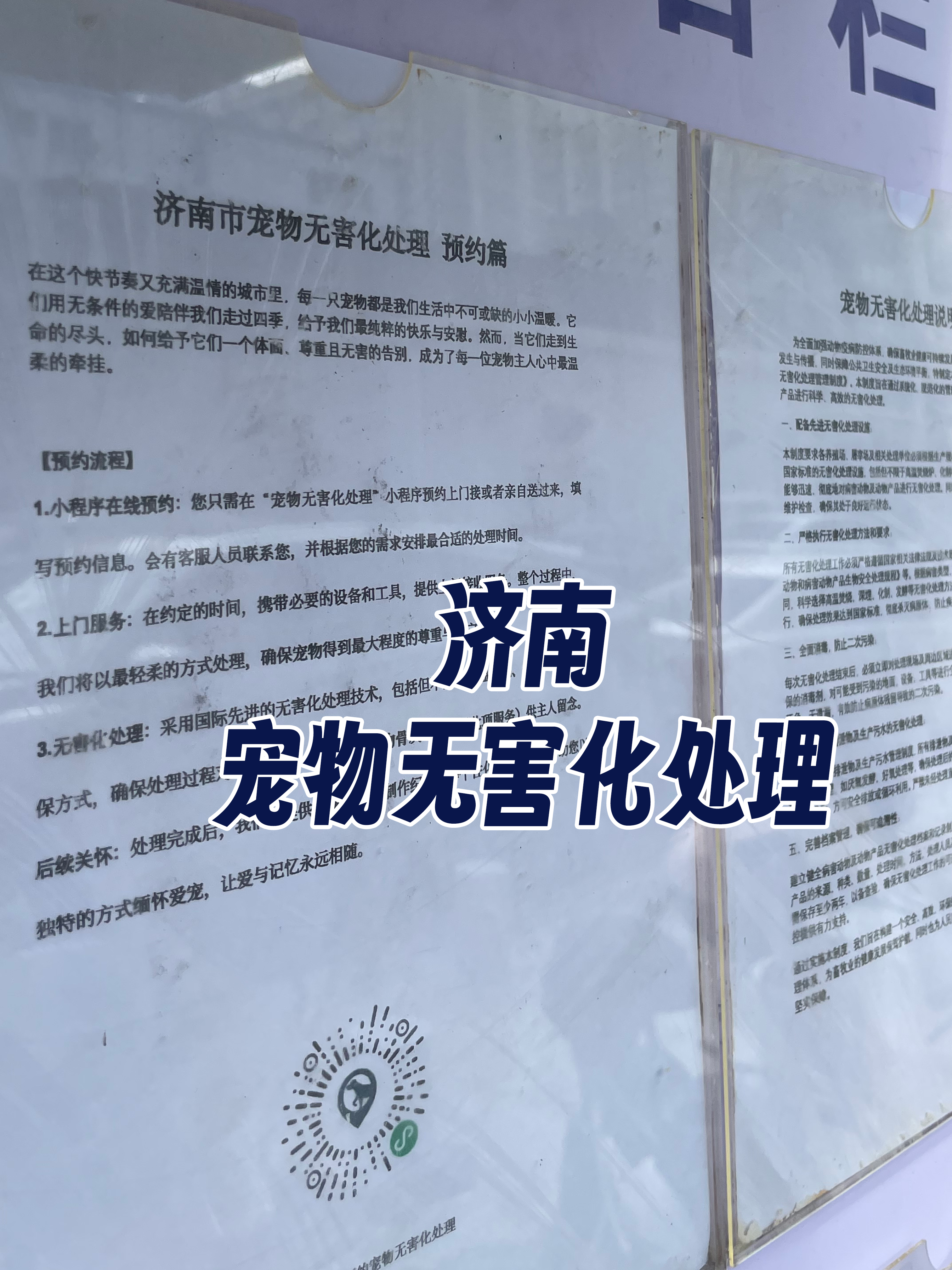 陆河宠物无害化处理流程