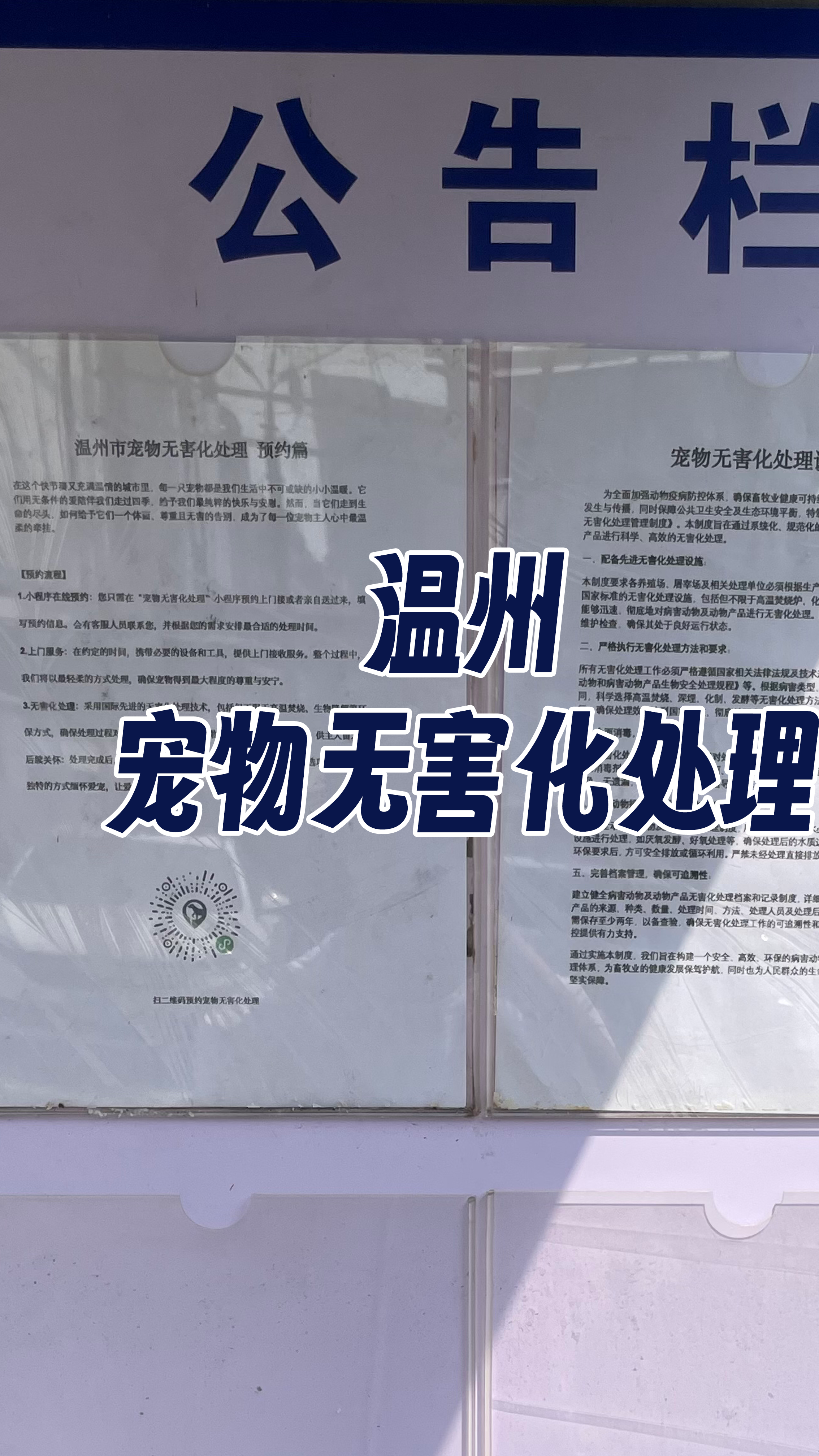 太原宠物无害化处理