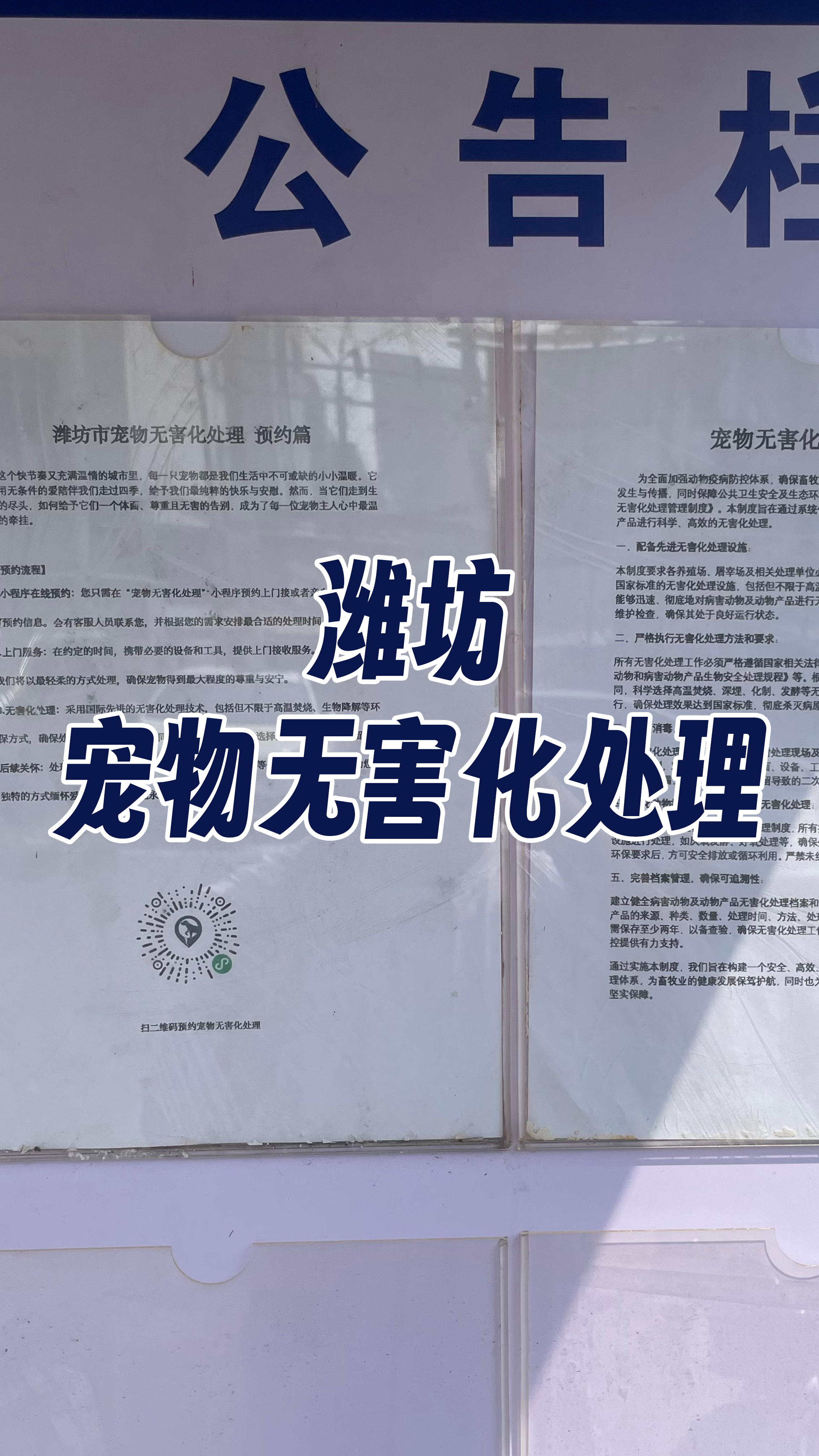 陆河宠物骨灰安置