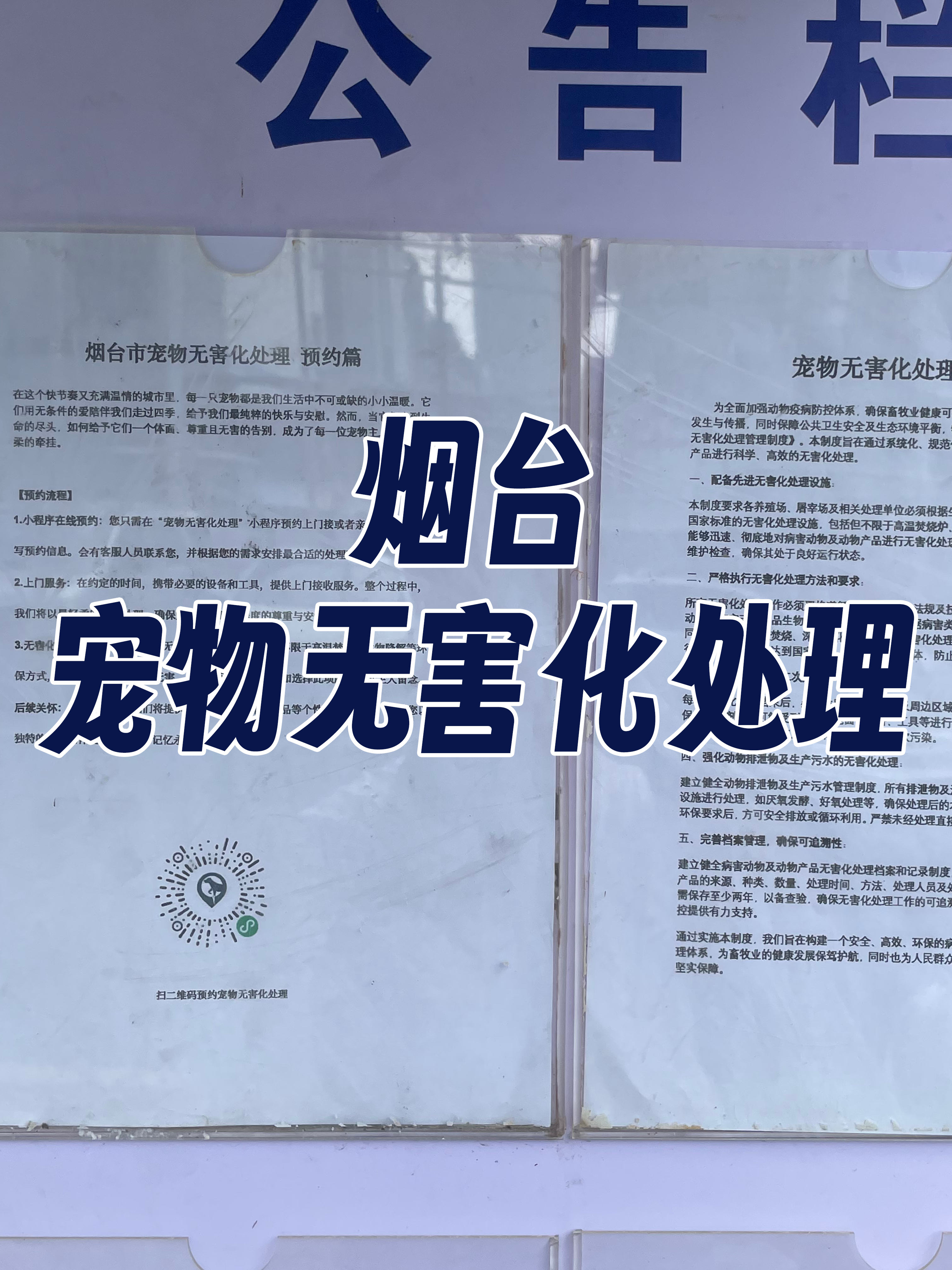 陆丰宠物无害化处理