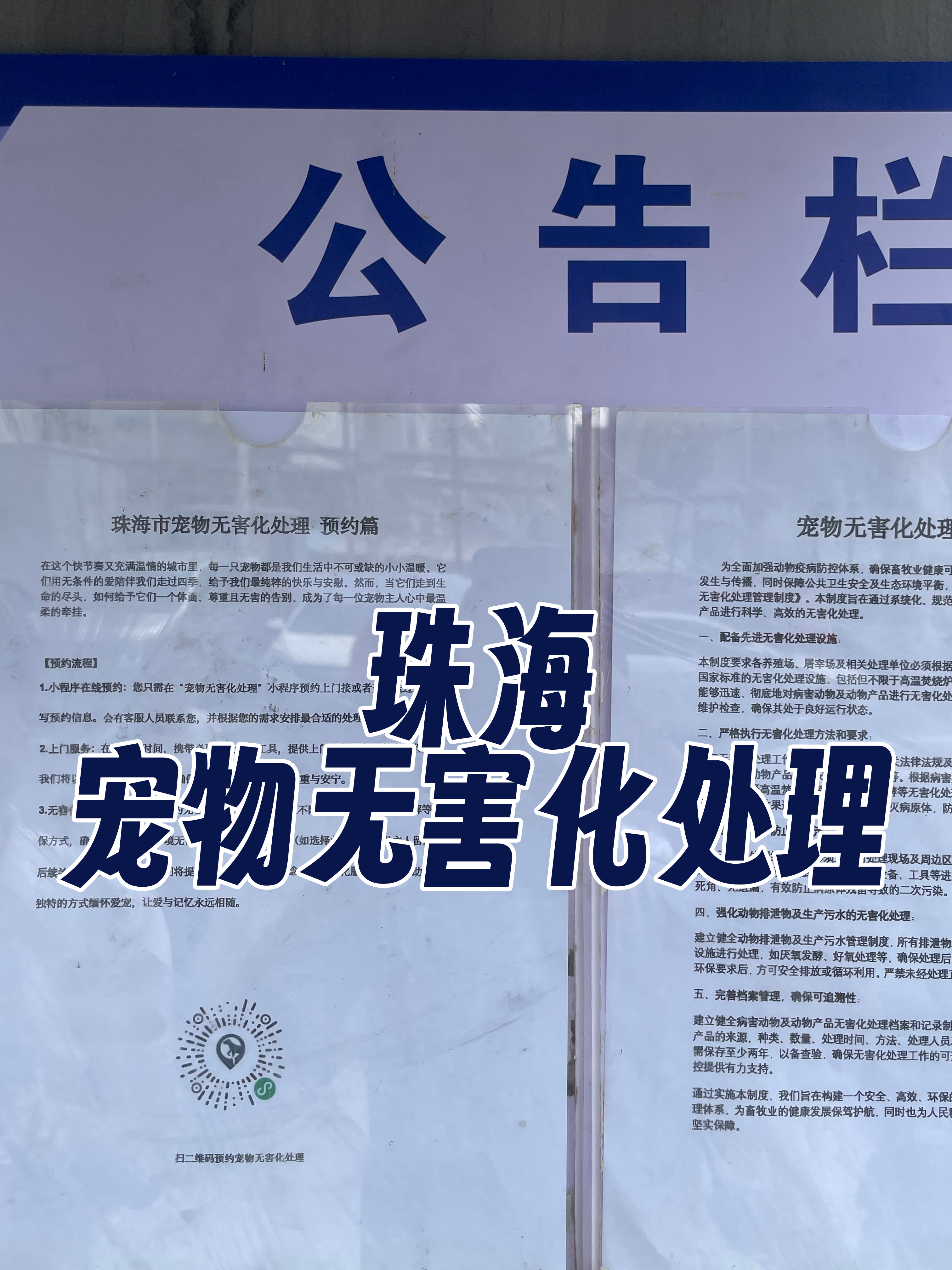 陆丰宠物无害化